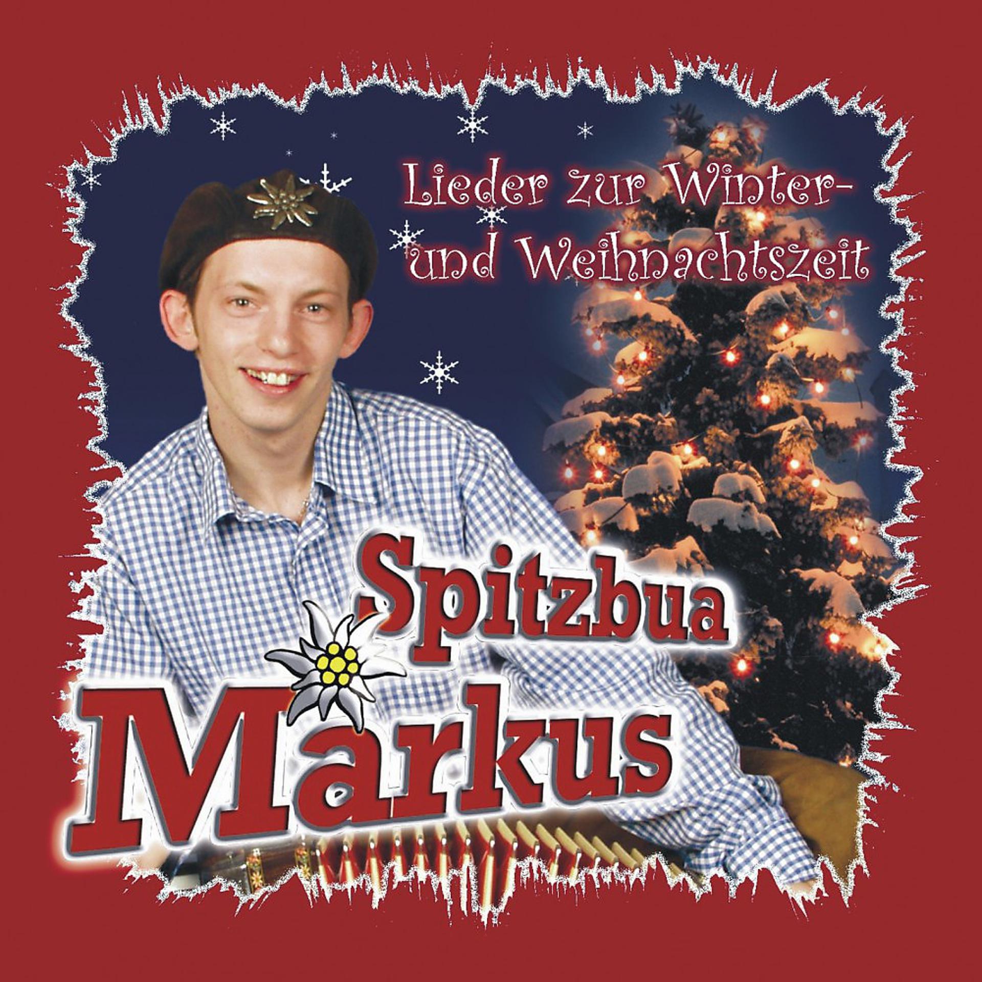 Постер альбома Lieder zur Winter- Und Weihnachtszeit