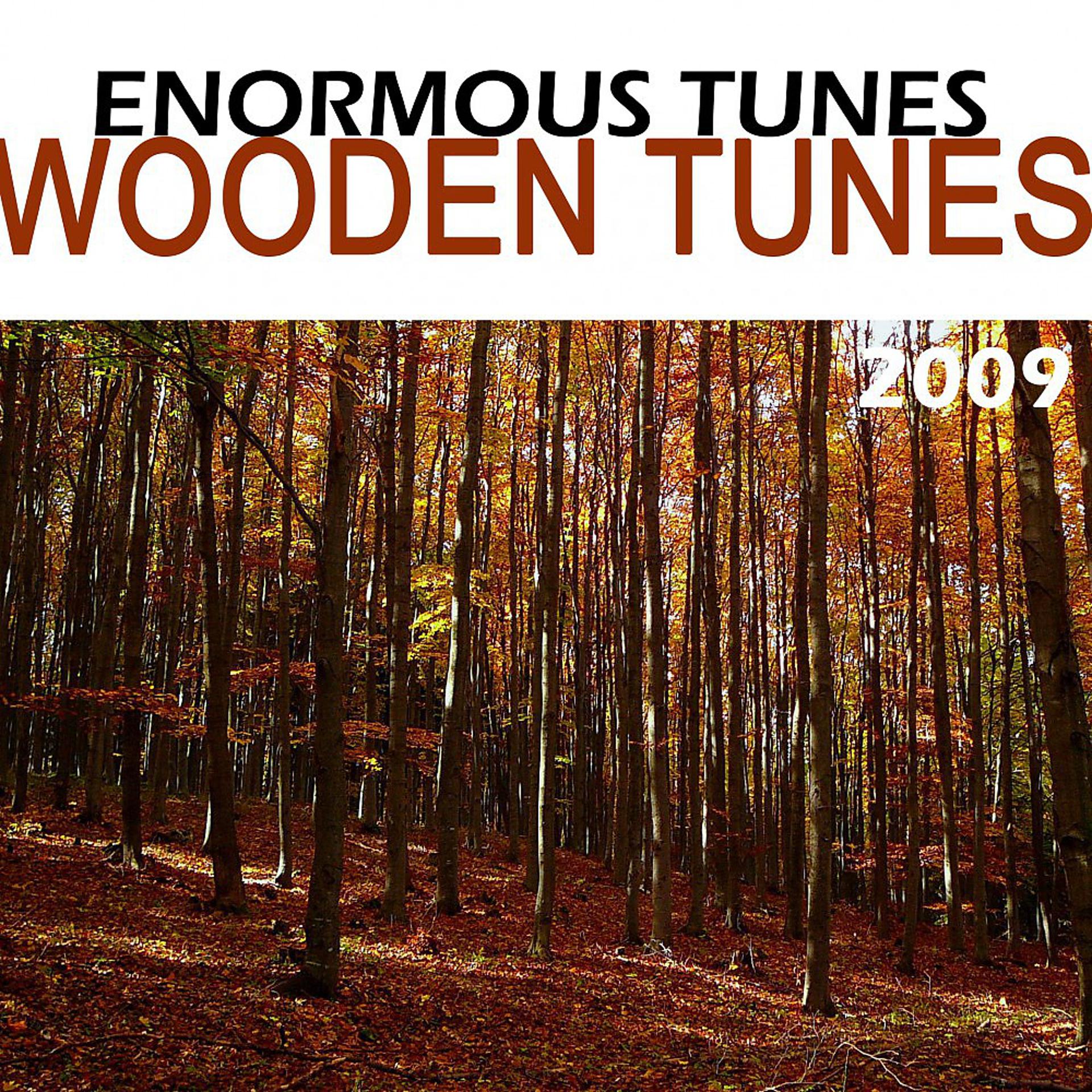 Постер альбома Wooden Tunes 2009