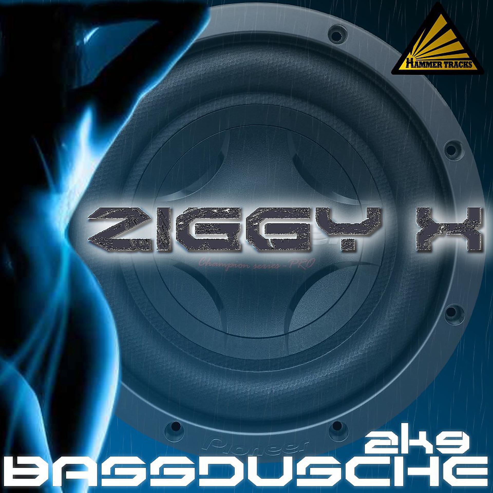 Постер альбома Bassdusche 2K9 (Radio Mixes)