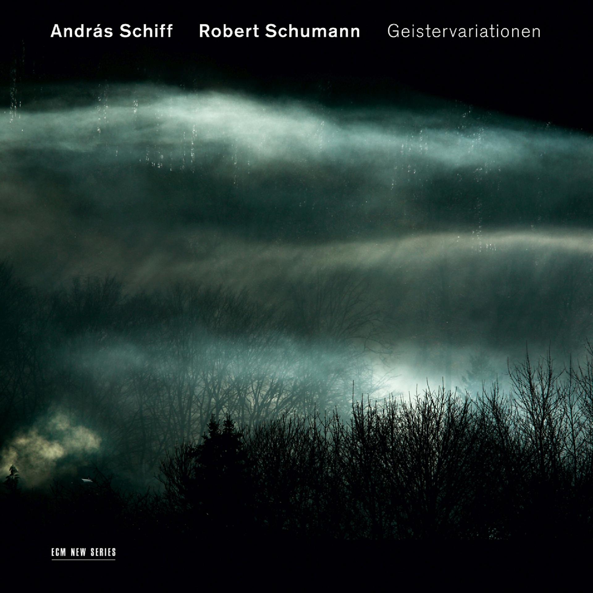 Постер альбома Robert Schumann: Geistervariationen