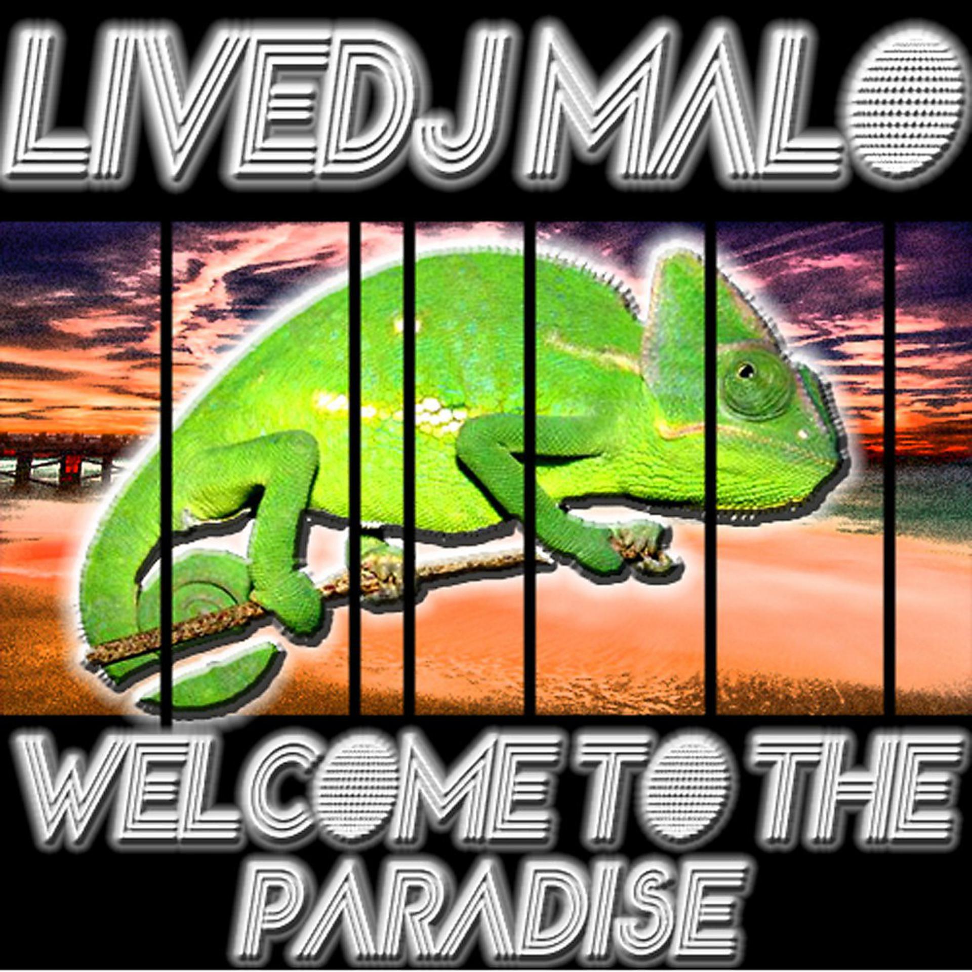 Постер альбома Welcome to the Paradise (Original Mix)