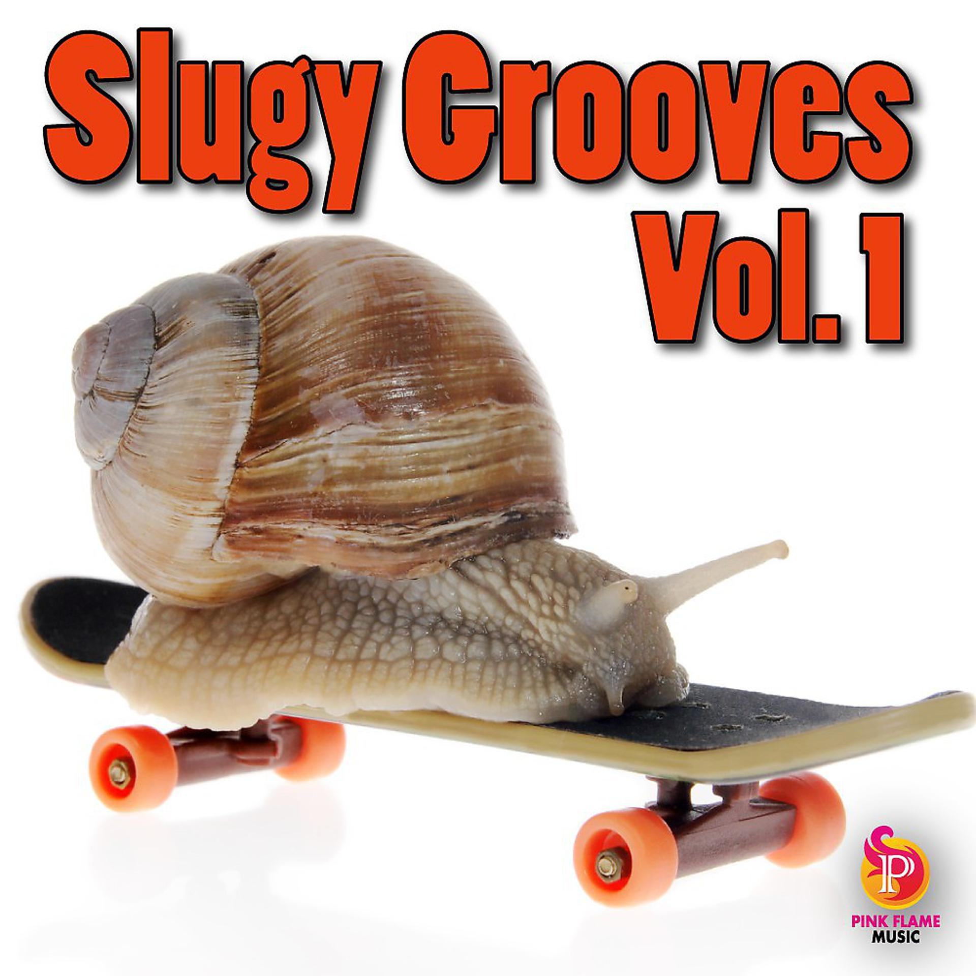 Постер альбома Slugy Grooves Vol. 1