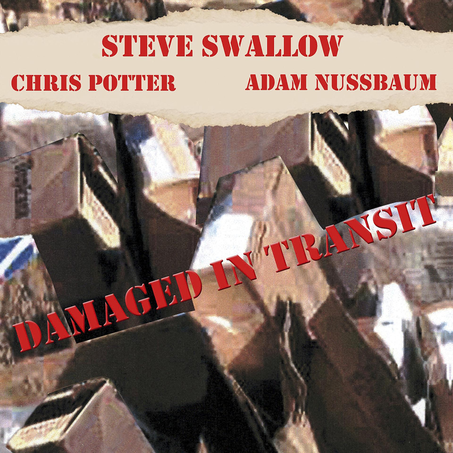Постер альбома Damaged In Transit