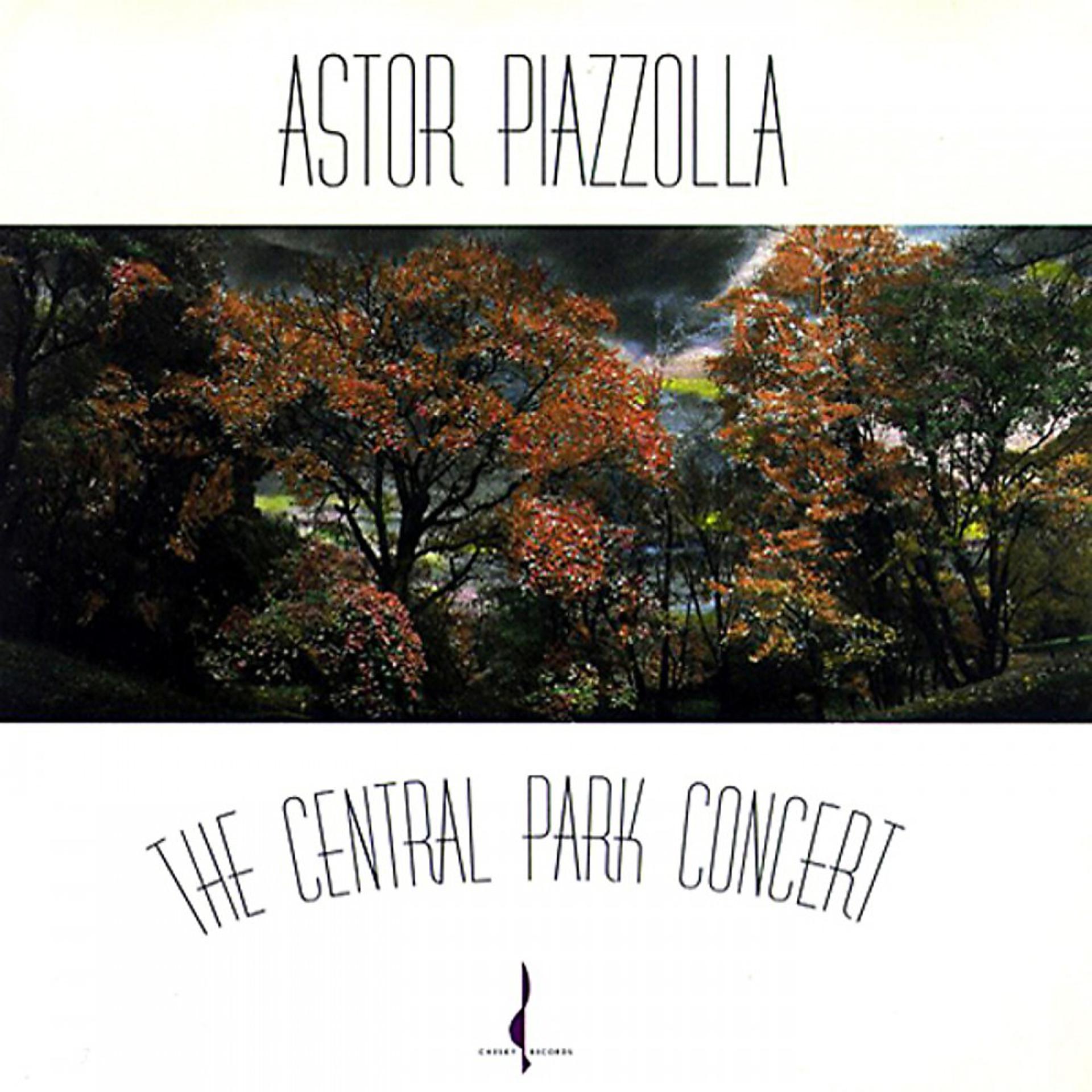 Постер альбома The Central Park Concert