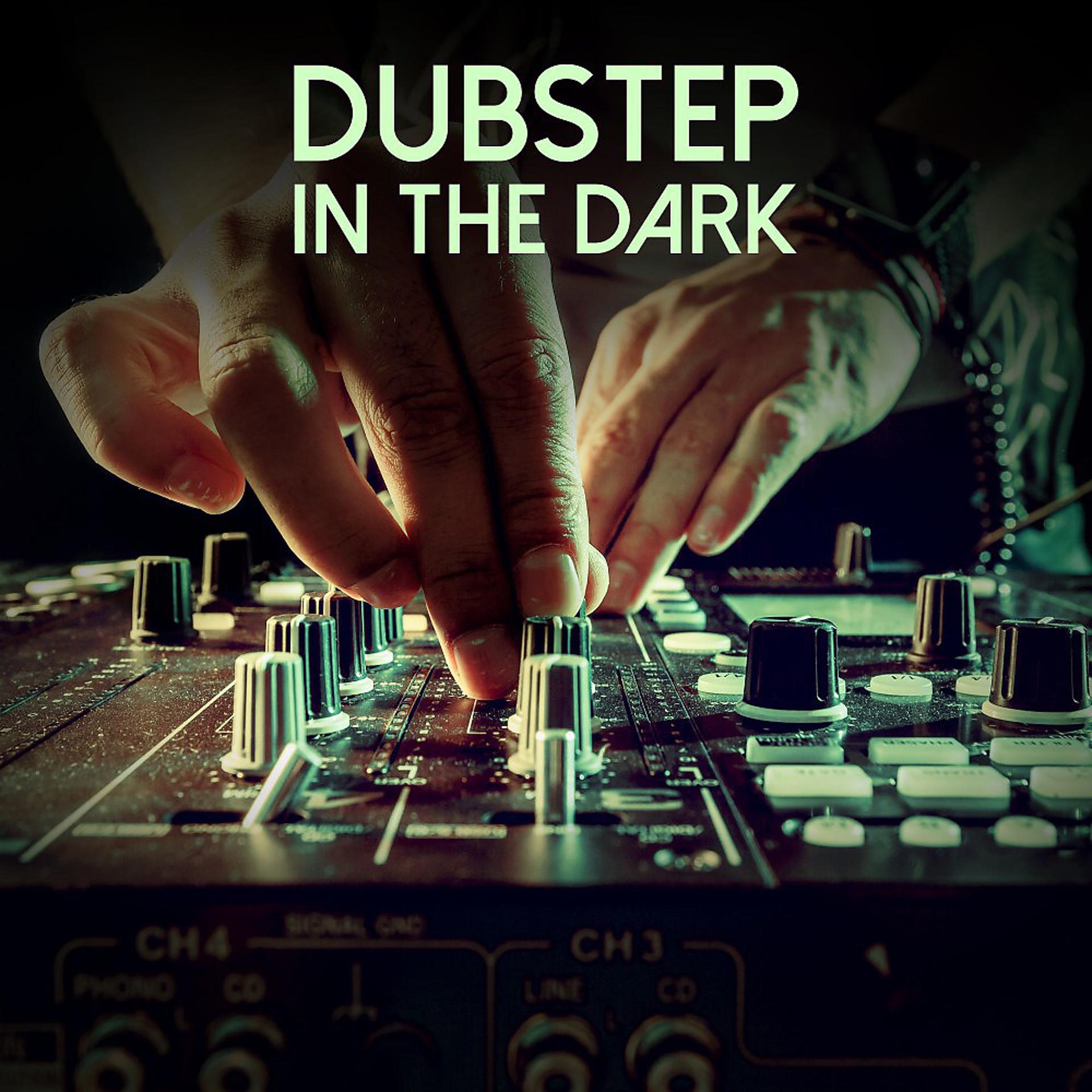 Постер альбома Dubstep in the Dark
