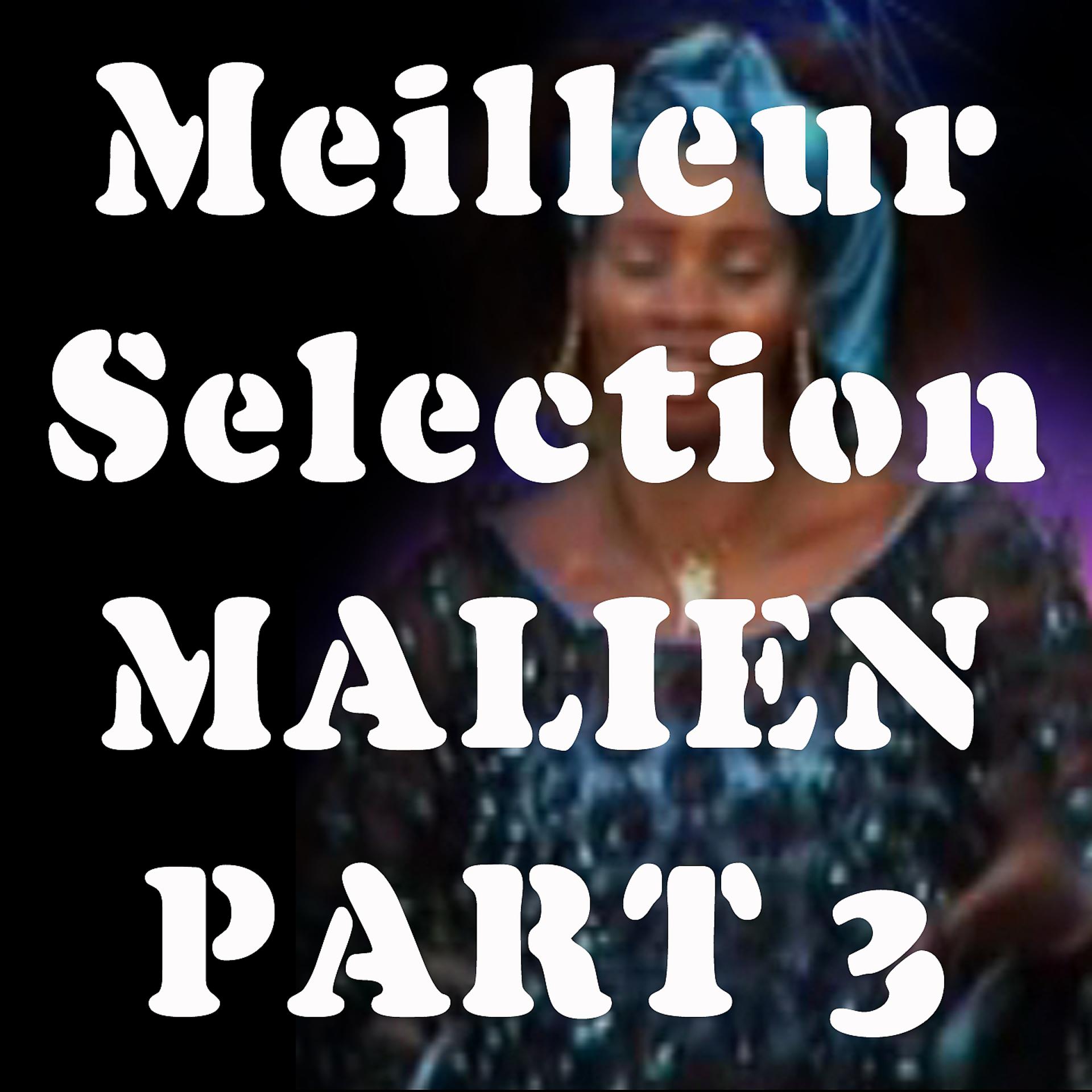 Постер альбома Meilleur Sélection Malien, Pt. 3