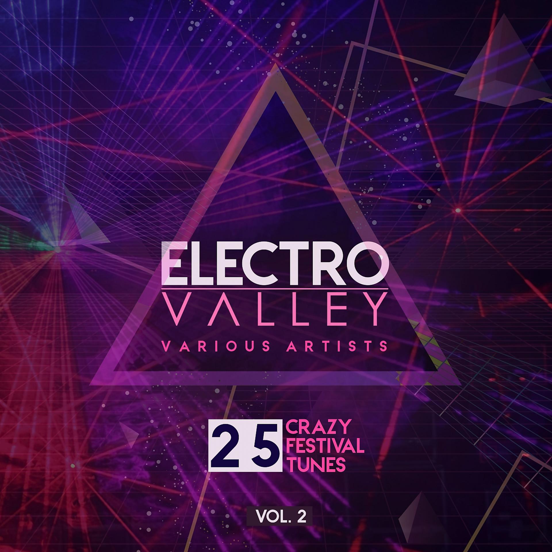 Постер альбома Electro Valley (25 Crazy Festival Tunes), Vol. 2