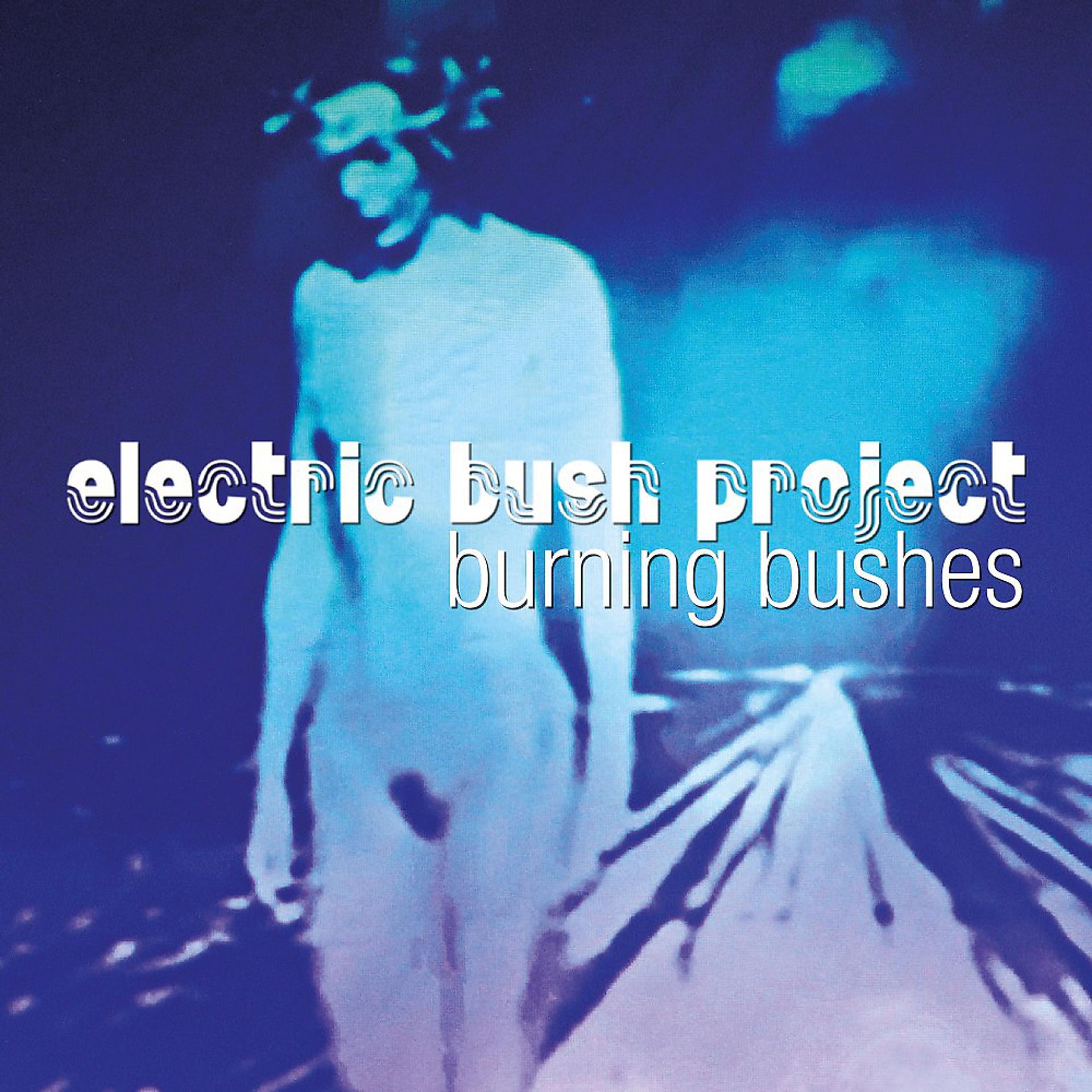 Постер альбома Burning Bushes