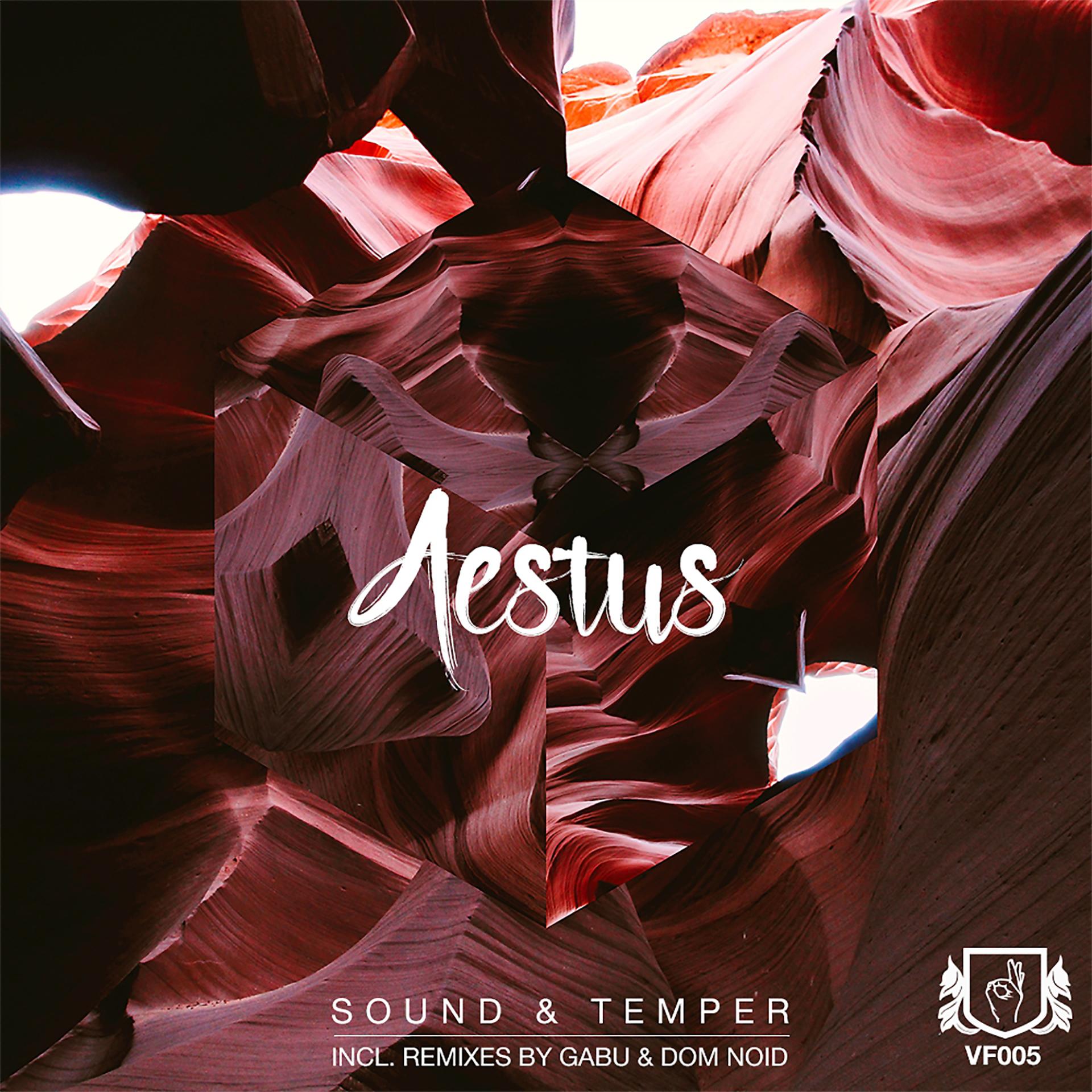 Постер альбома Aestus