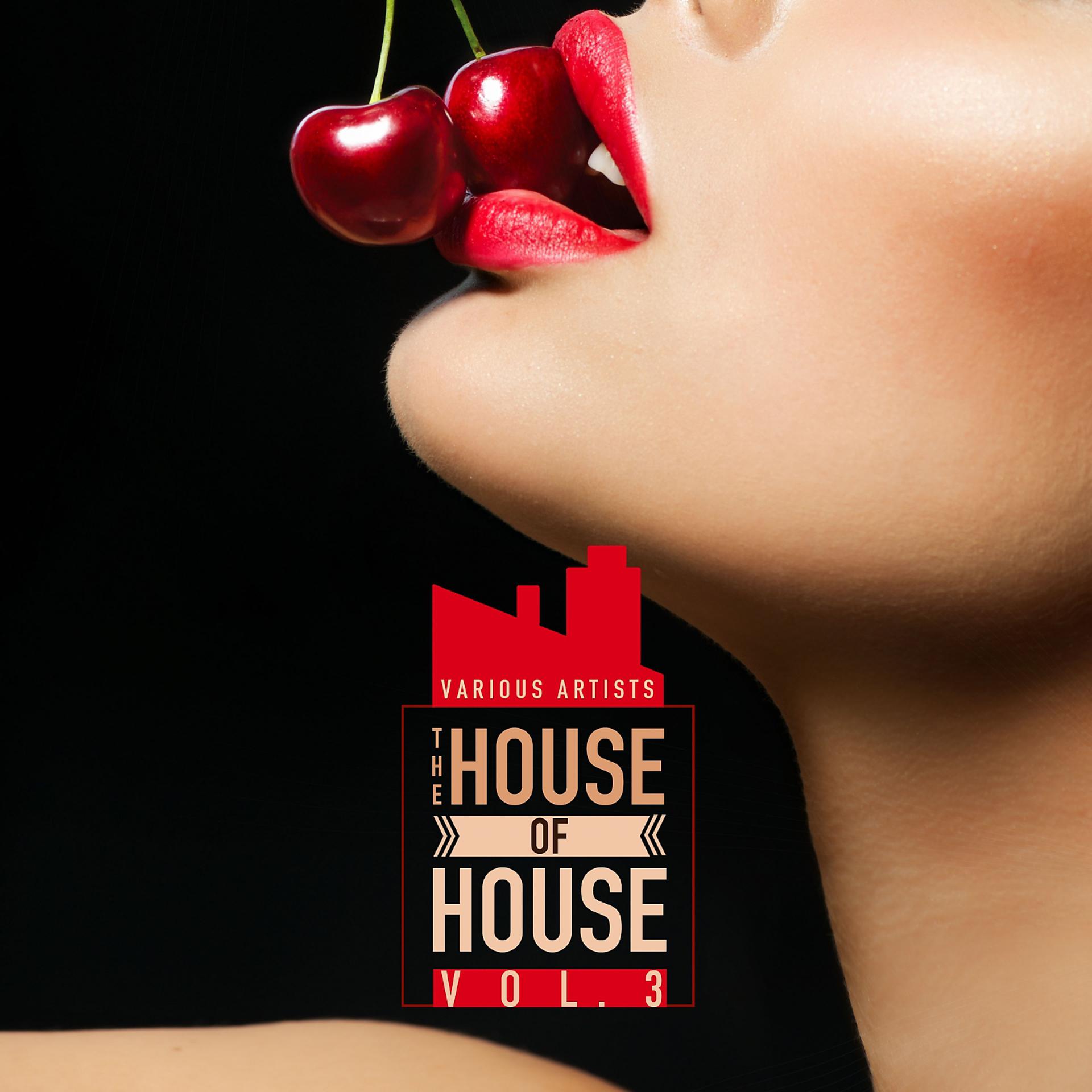 Постер альбома The House of House, Vol. 3