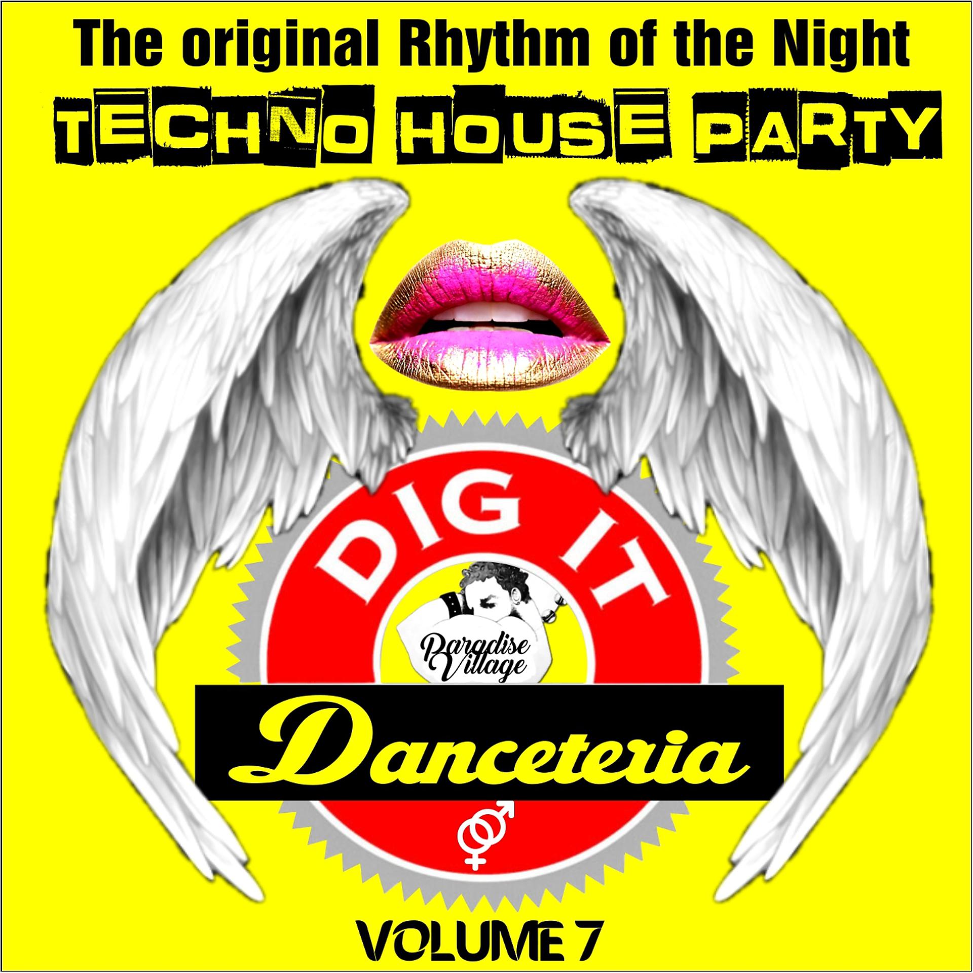 Постер альбома Danceteria Dig-It - Volume 7 - The Original Rhythm of the Night - Techno House