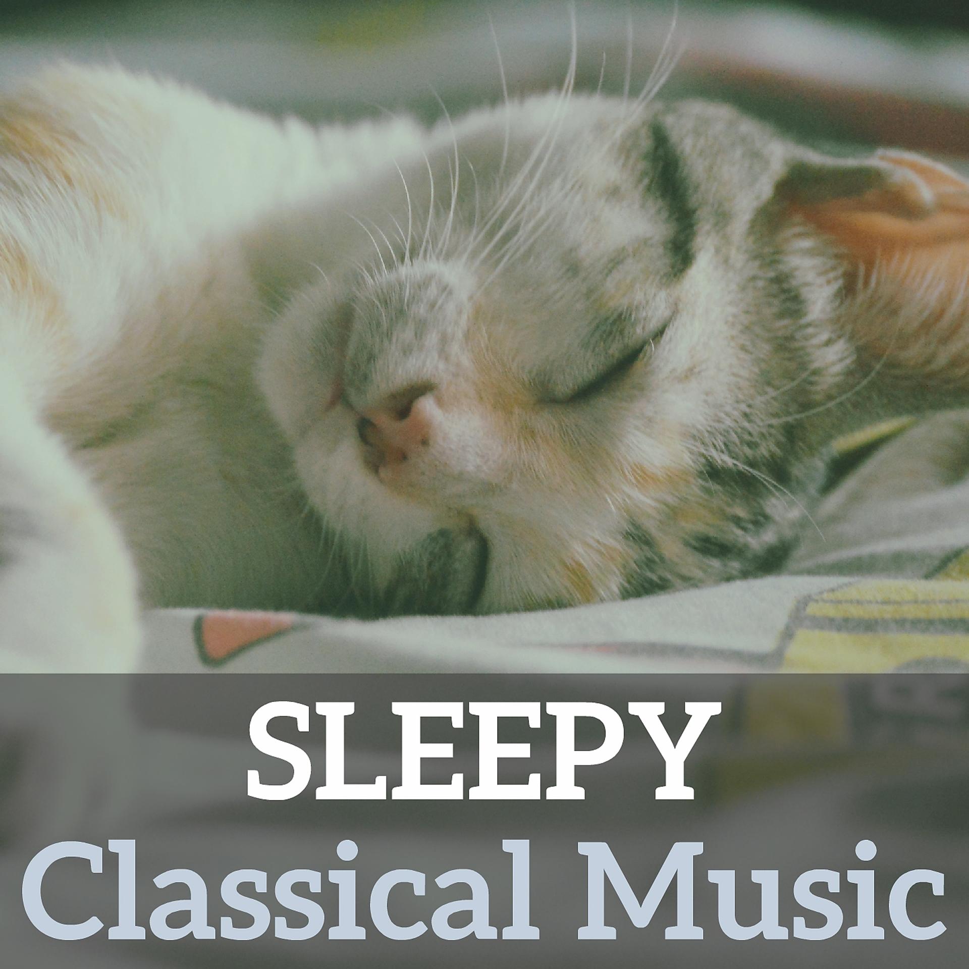 Постер альбома Sleepy Classical Music