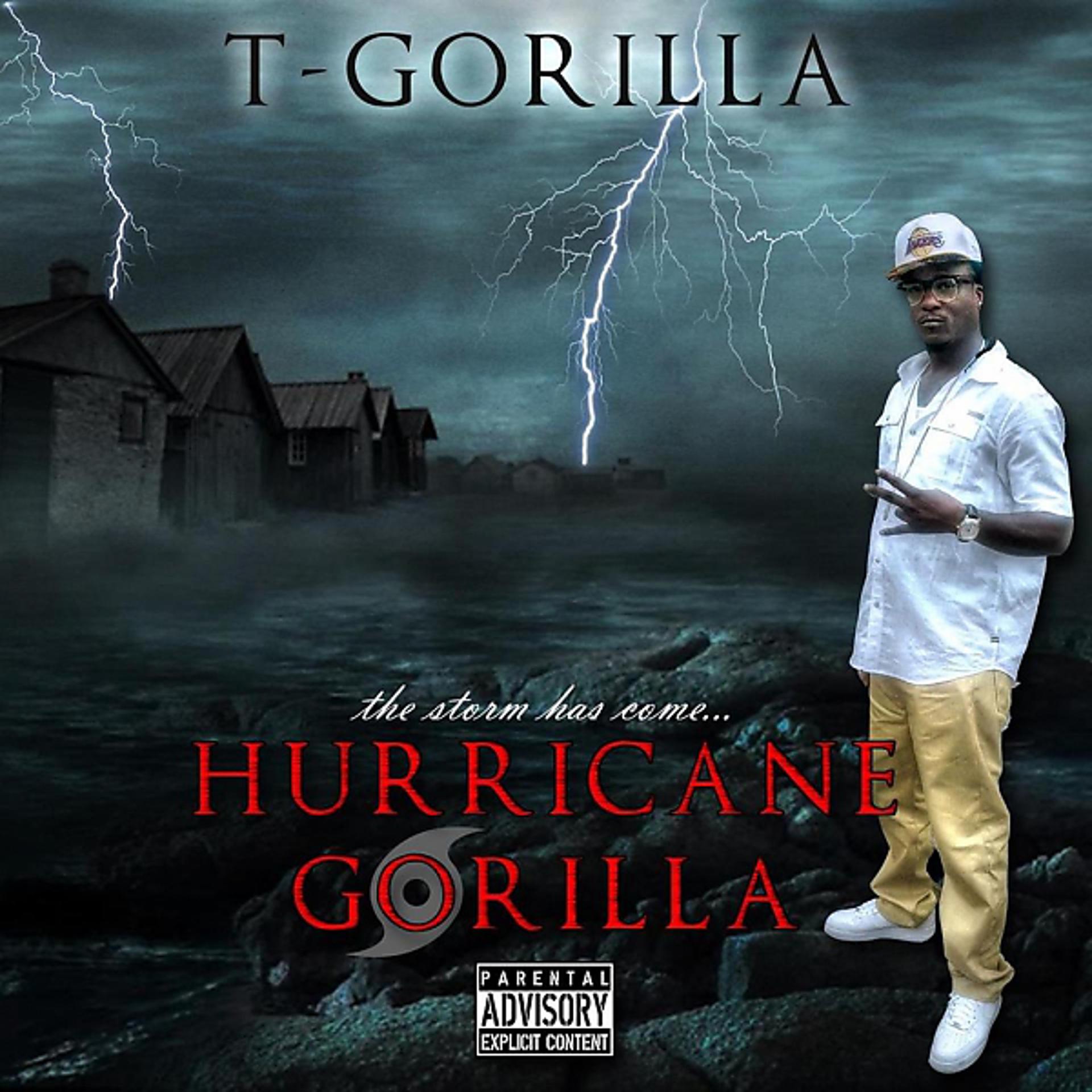 Постер альбома Hurricane Gorilla