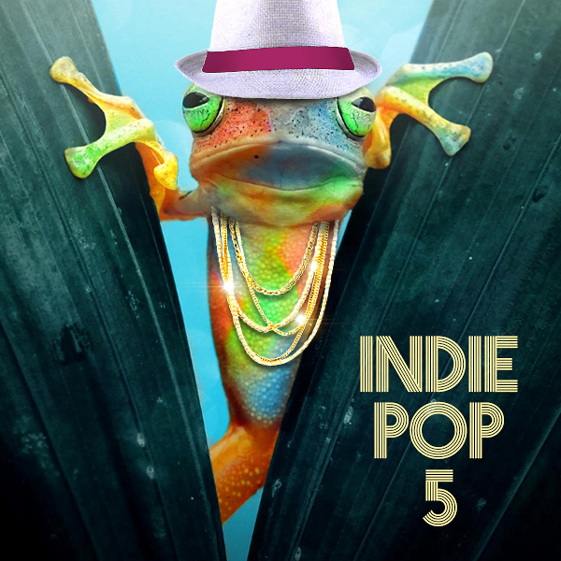 Постер альбома Indie Pop 5
