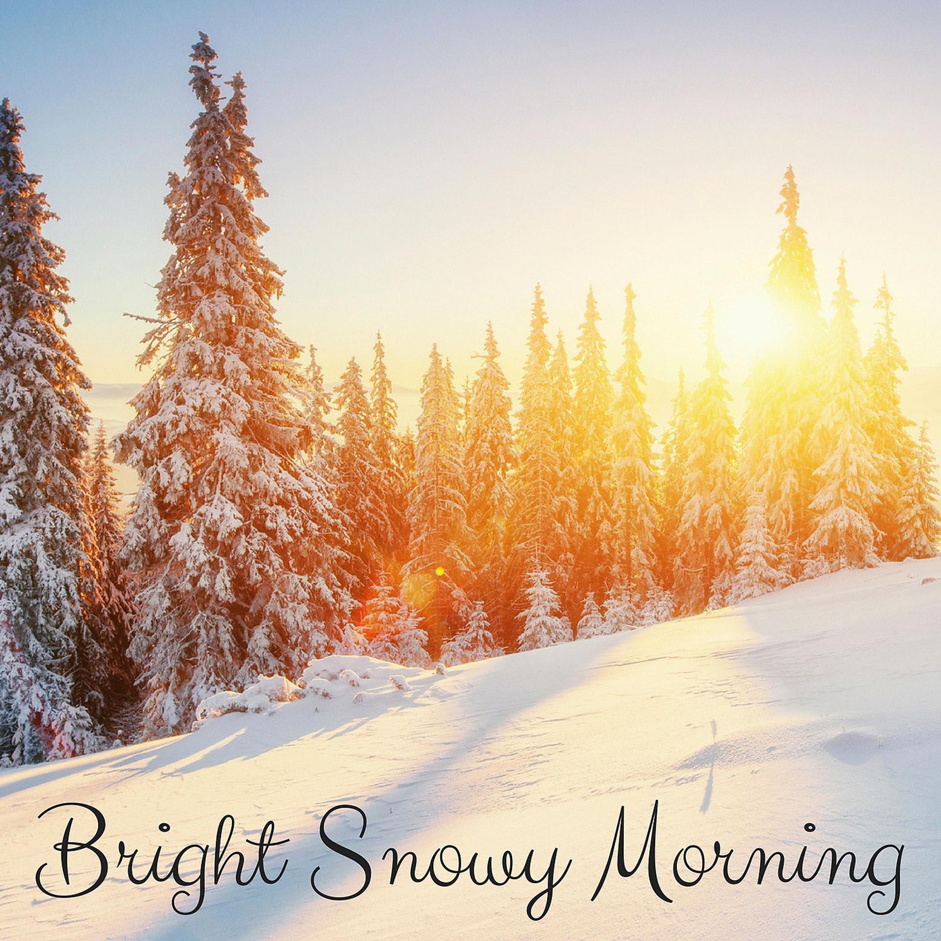 Постер альбома Bright Snowy Morning