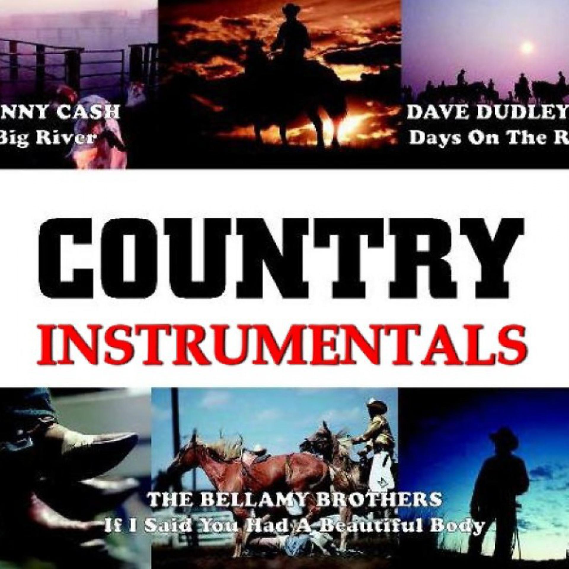 Постер альбома Country-Hits Instrumental Vol. 1 Karaoke Playback