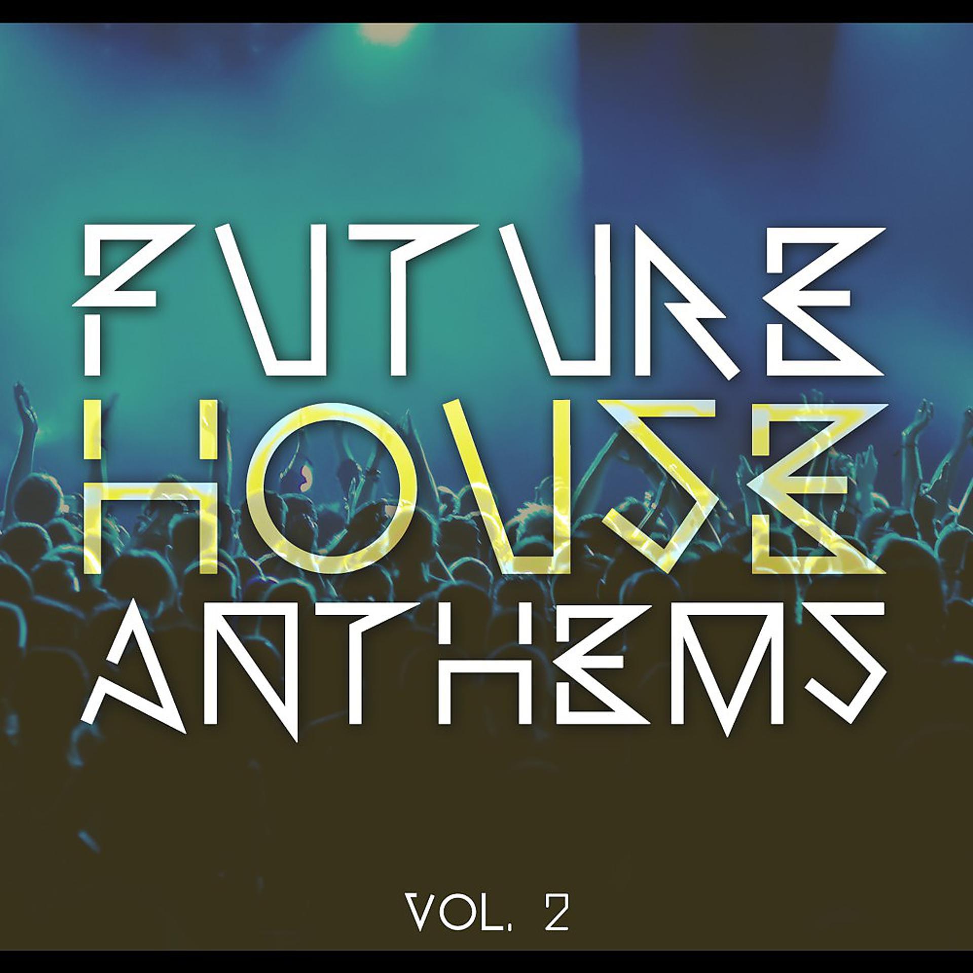 Постер альбома Future House Anthems, Vol. 2