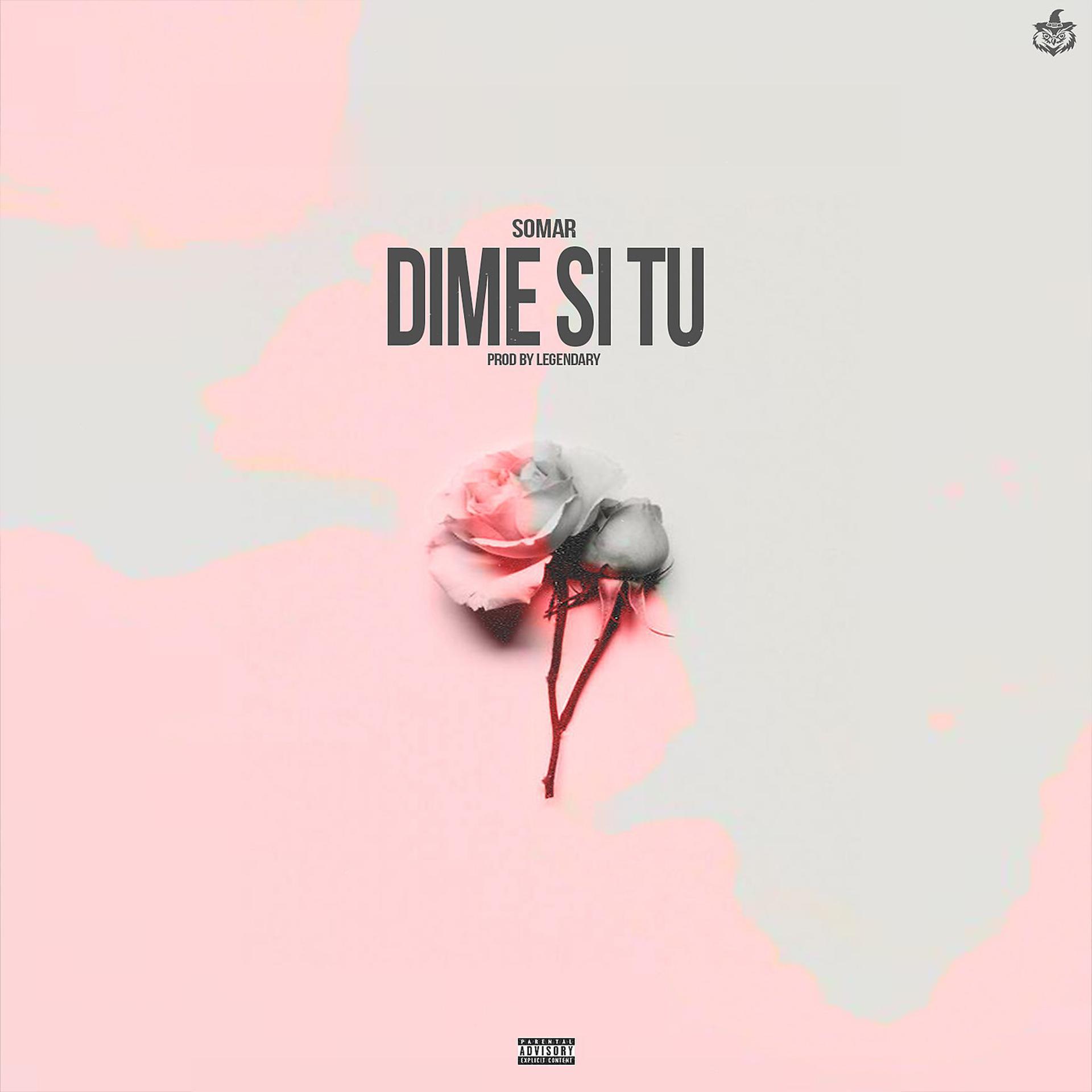 Постер альбома Dime Si Tu