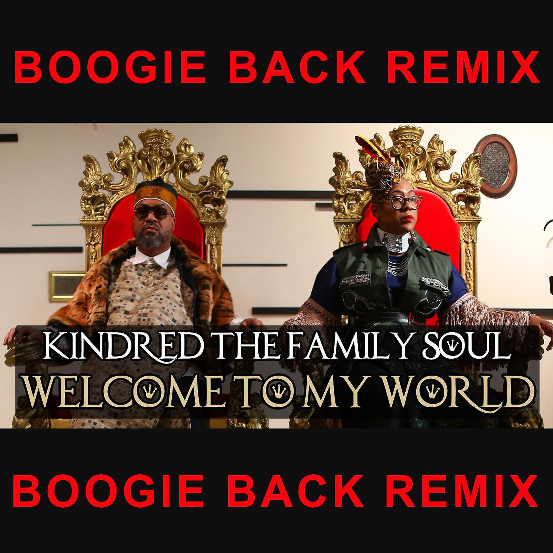 Постер альбома Welcome to My World (Boogie Back Remix)