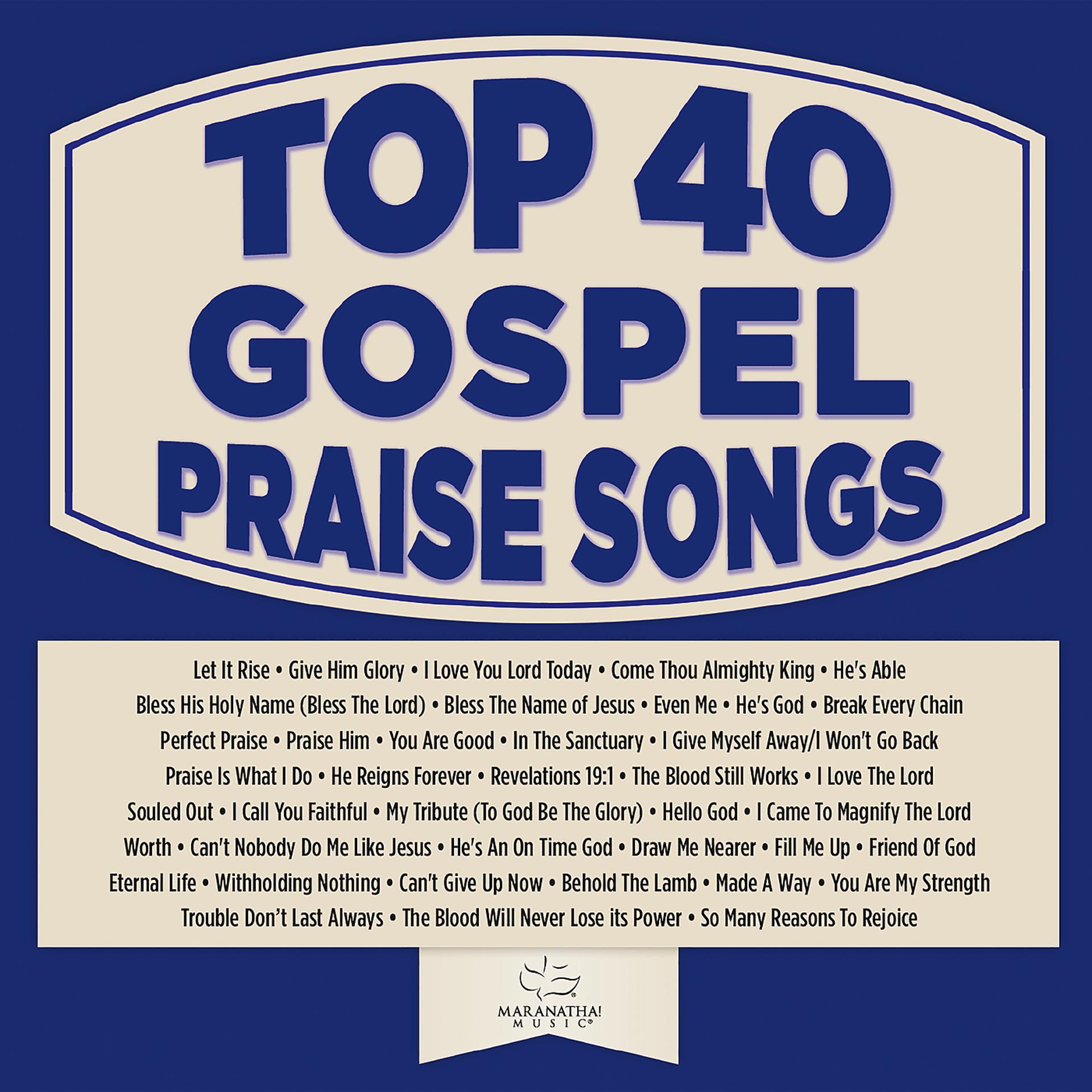 Постер альбома Top 40 Gospel Praise Songs