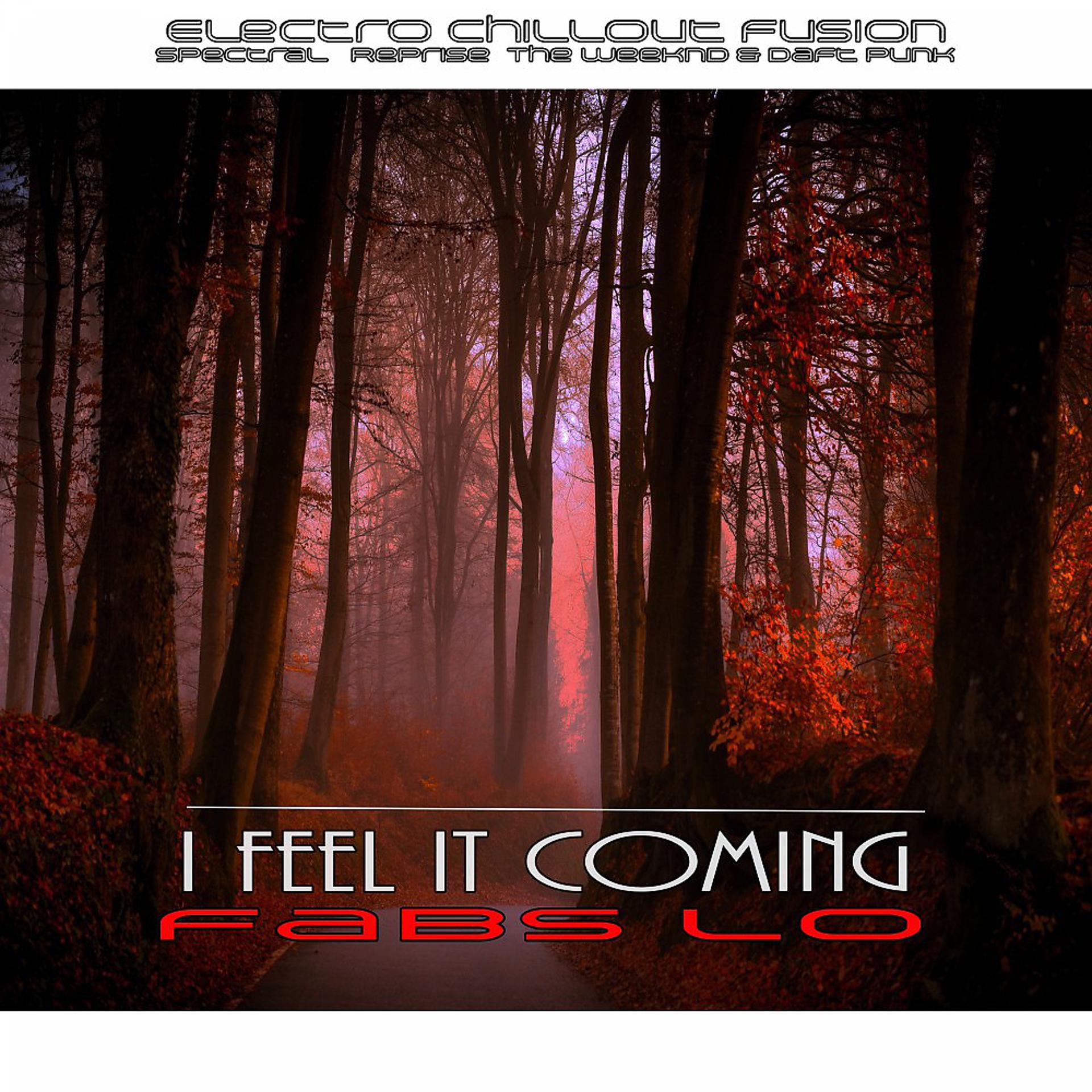Постер альбома I Feel It Coming (Electro Chillout Fusion Spectral Reprise the Weeknd & Daft Punk)