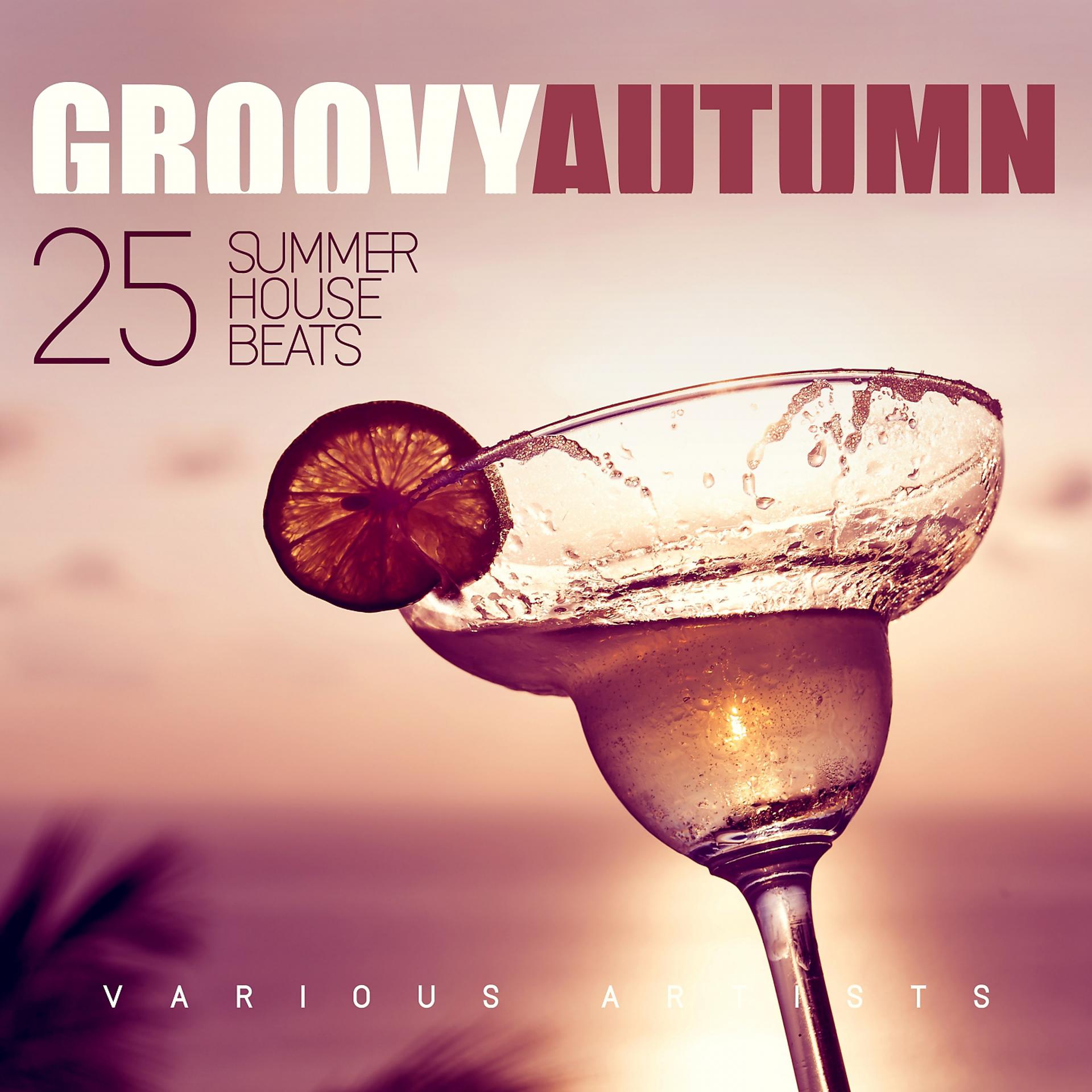 Постер альбома Groovy Autumn (25 Summer House Beats)