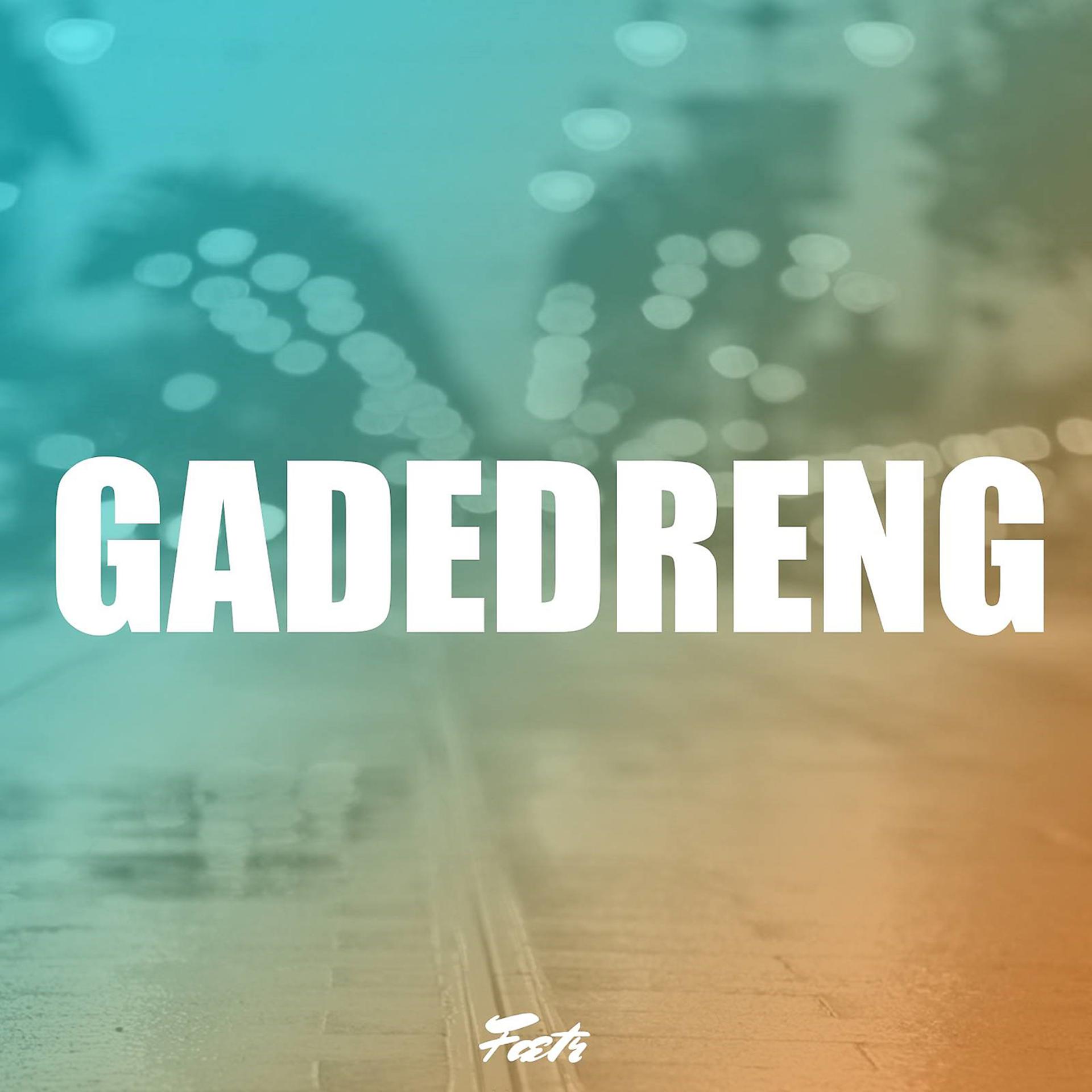 Постер альбома Gadedreng