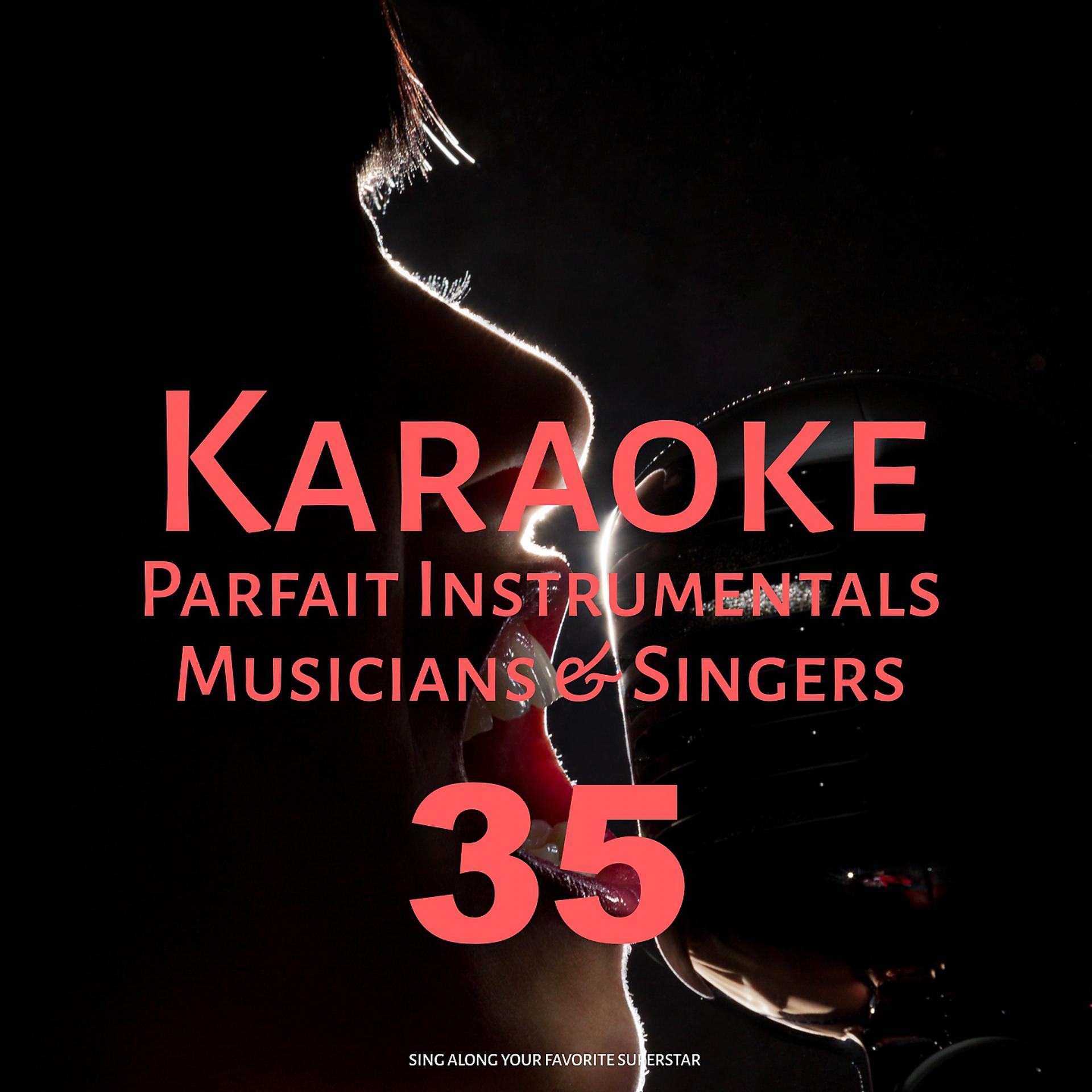 Постер альбома Karaoke Parfait Instrumentals Musicians & Singers, Vol. 35