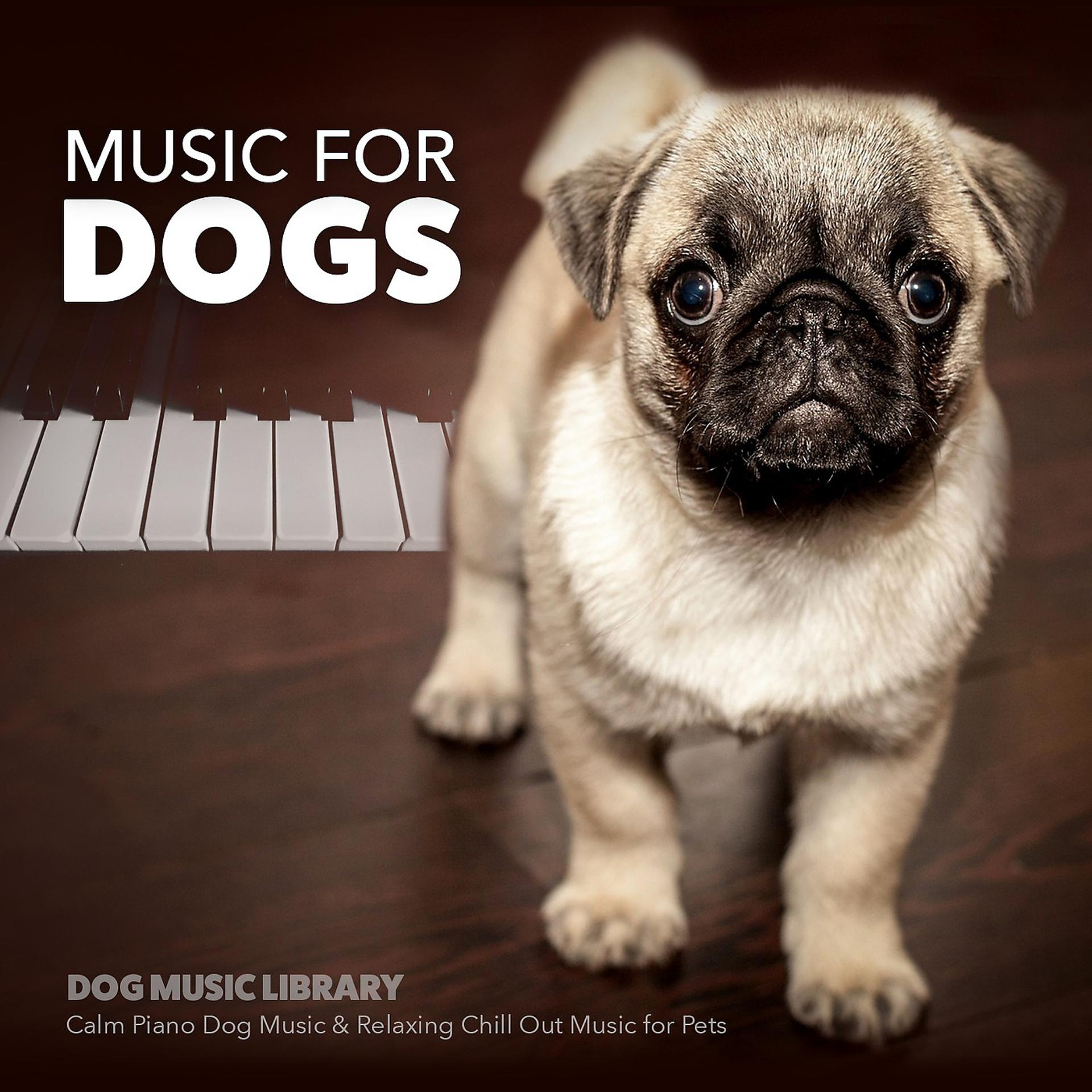 Постер альбома Music for Dogs: Calm Piano Music for Dogs & Relaxing Chill out Music for Pets