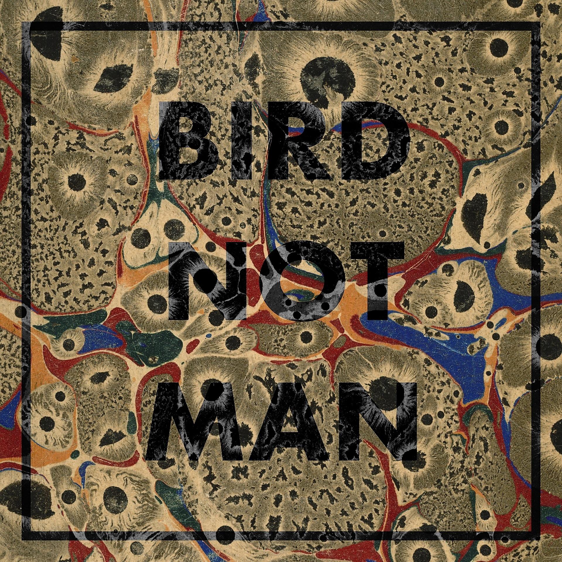 Постер альбома Bird Not Man
