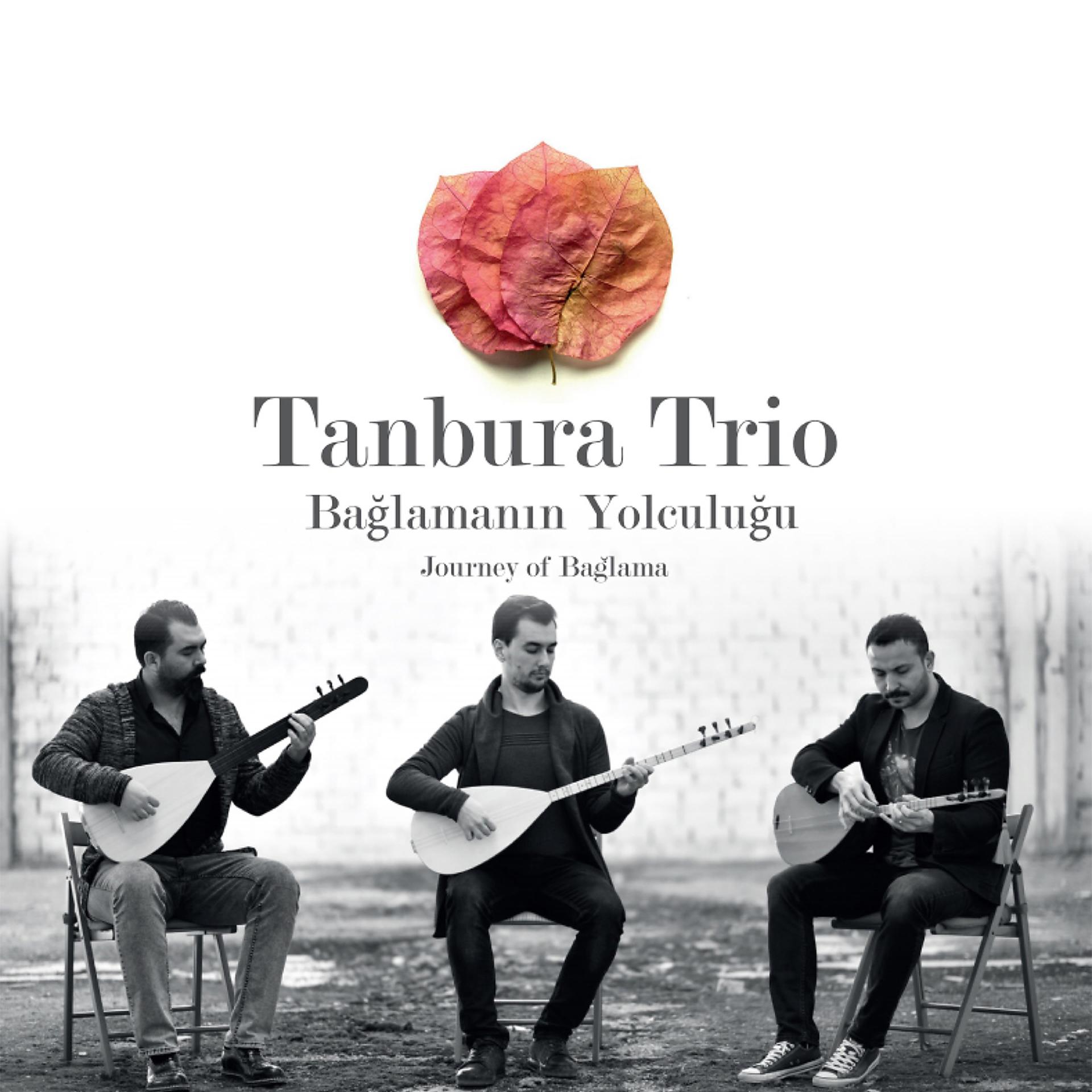 Постер альбома Tanbura Trio / Bağlamanın Yolculuğu