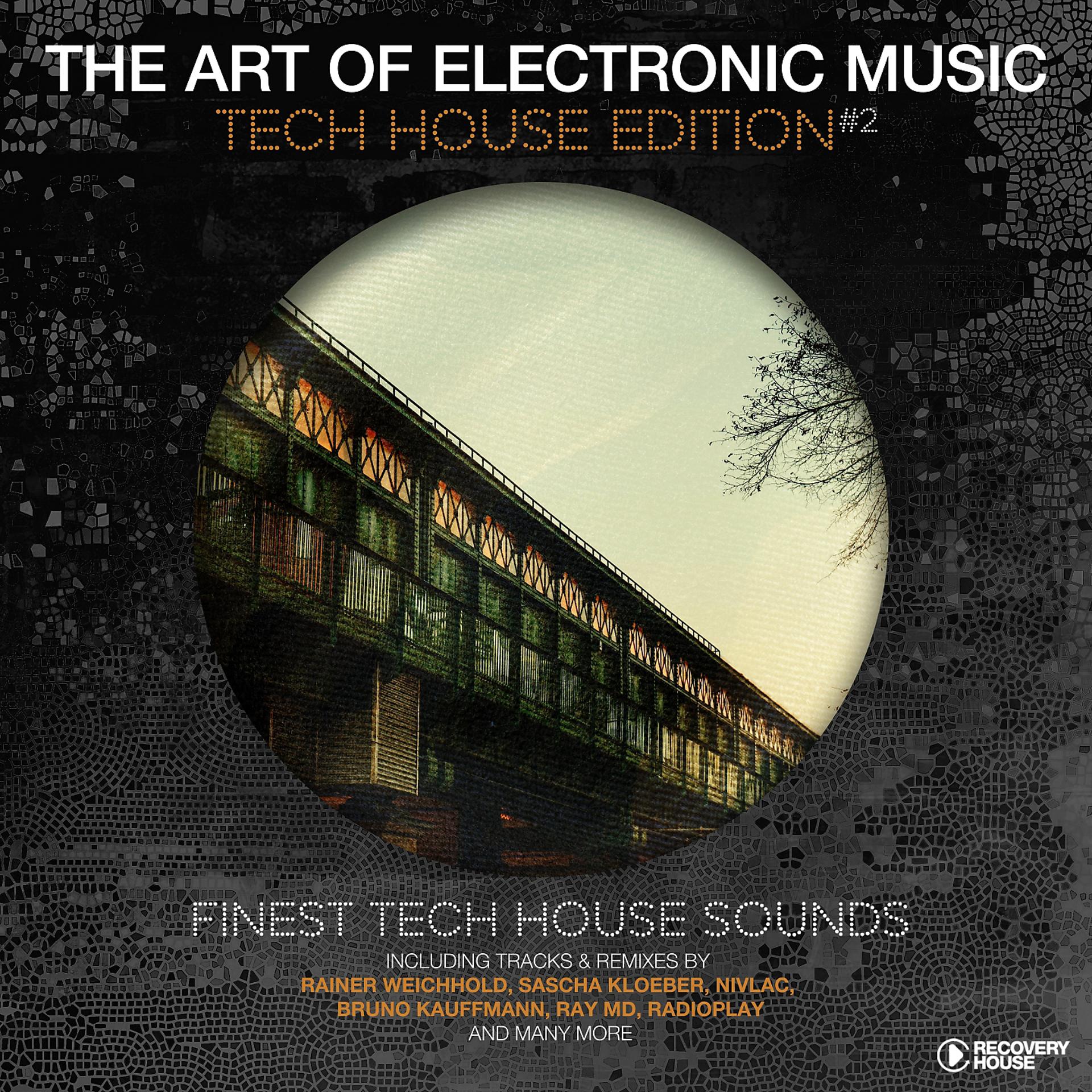 Постер альбома The Art of Electronic Music - Tech House Edition, Vol. 2