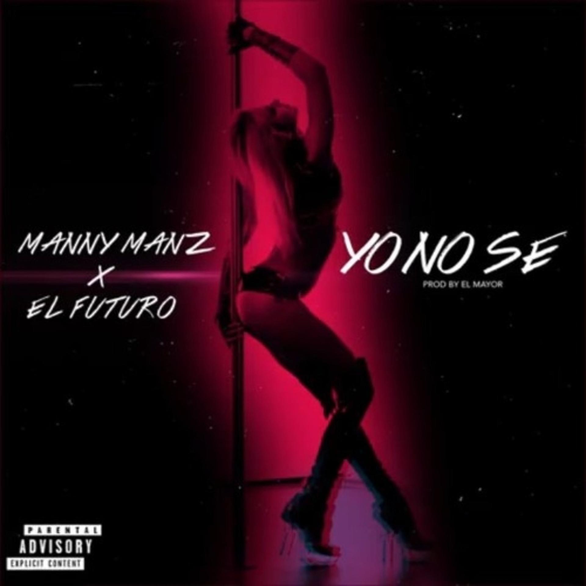Постер альбома Yo No Se (feat. El Futuro)