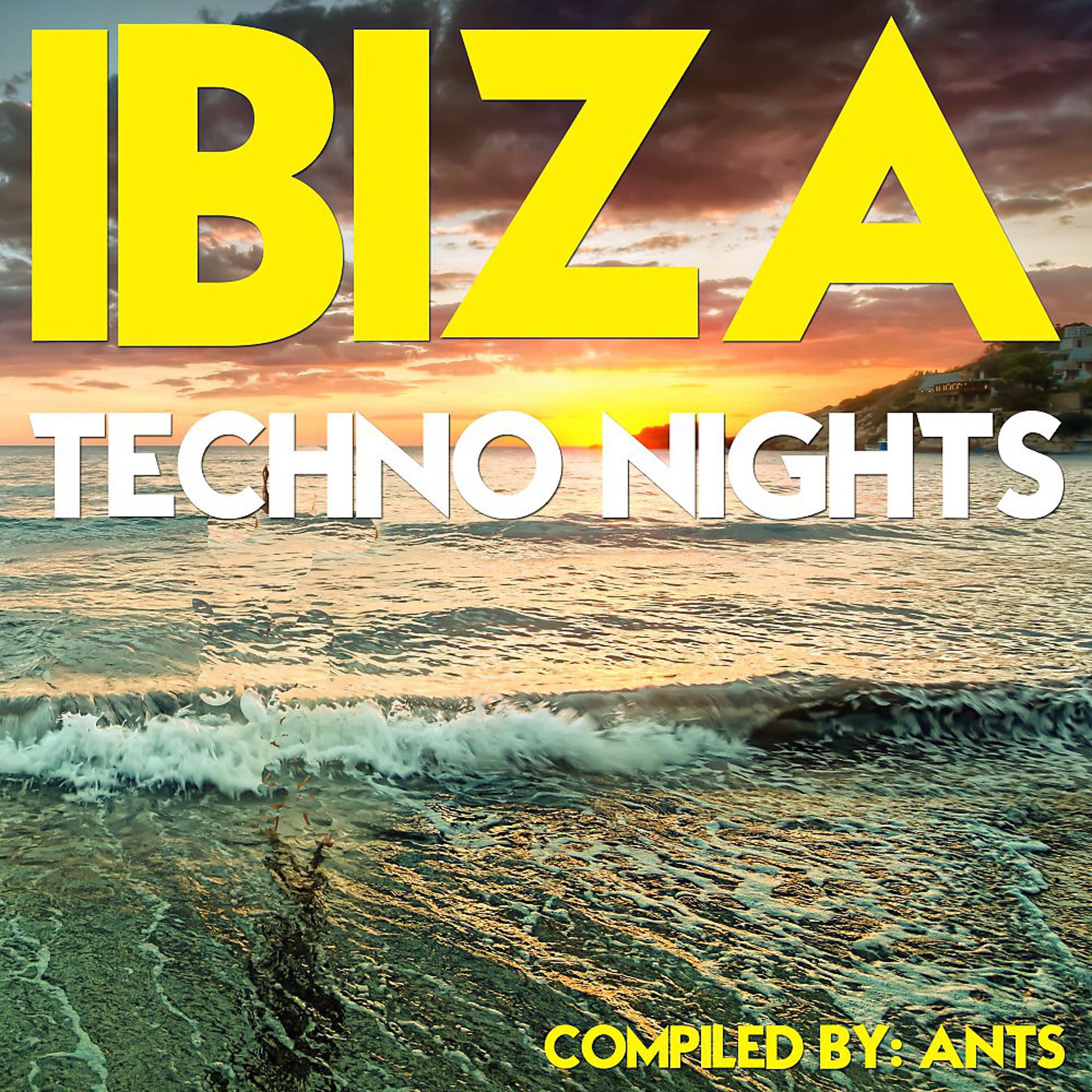 Постер альбома Ibiza Techno Nights