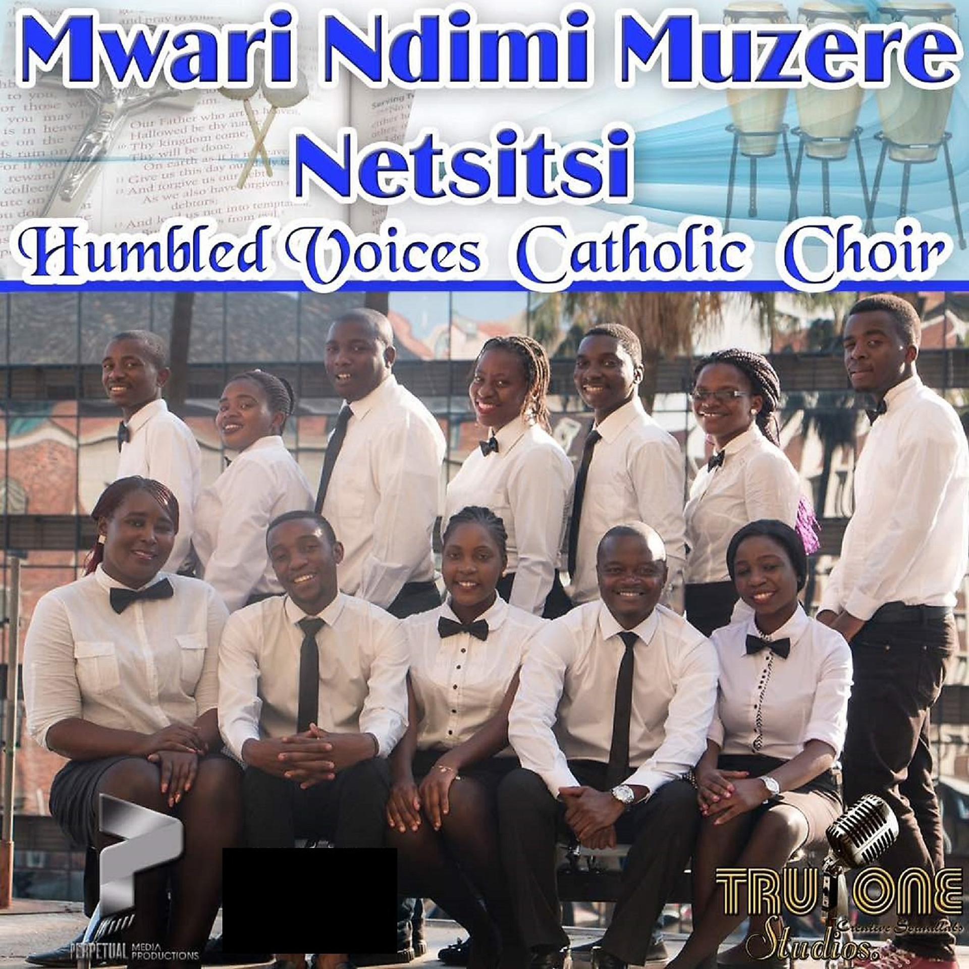 Постер альбома Mwari Ndimi Muzere Netsitsi