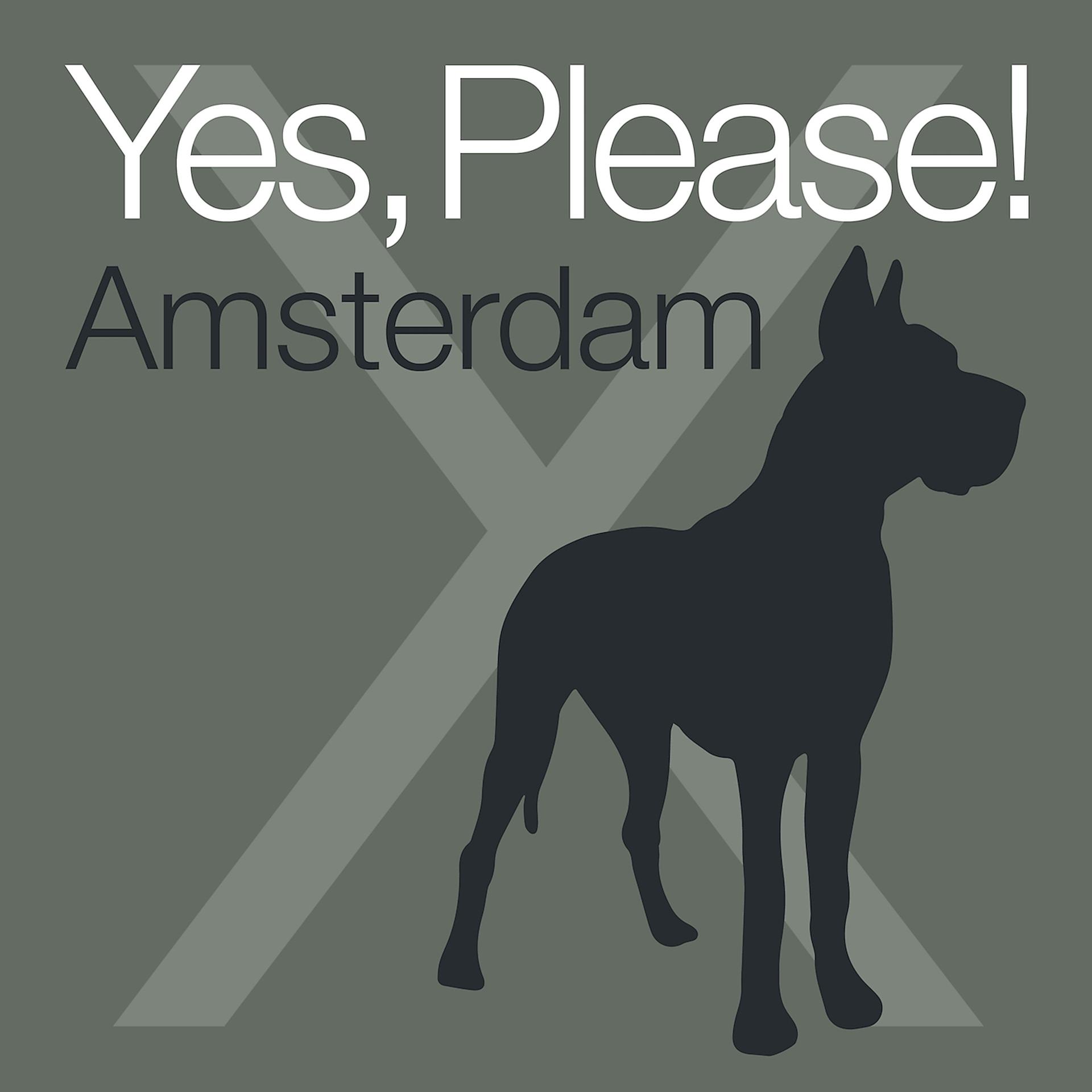 Постер альбома Yes, Please! X Amsterdam