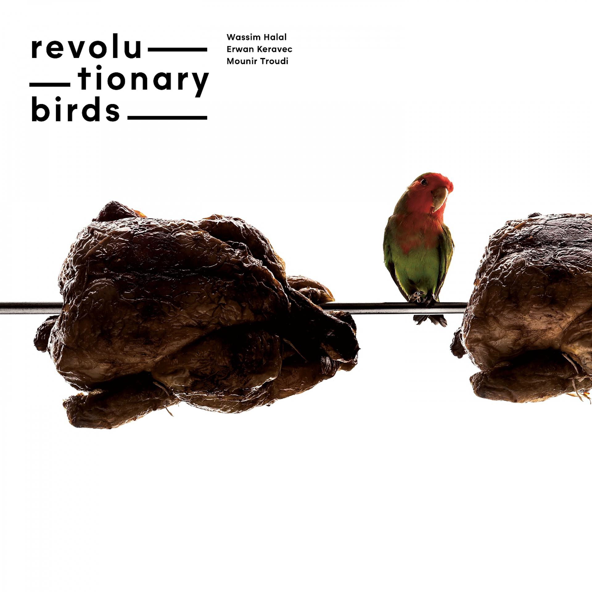 Постер альбома Revolutionary Birds
