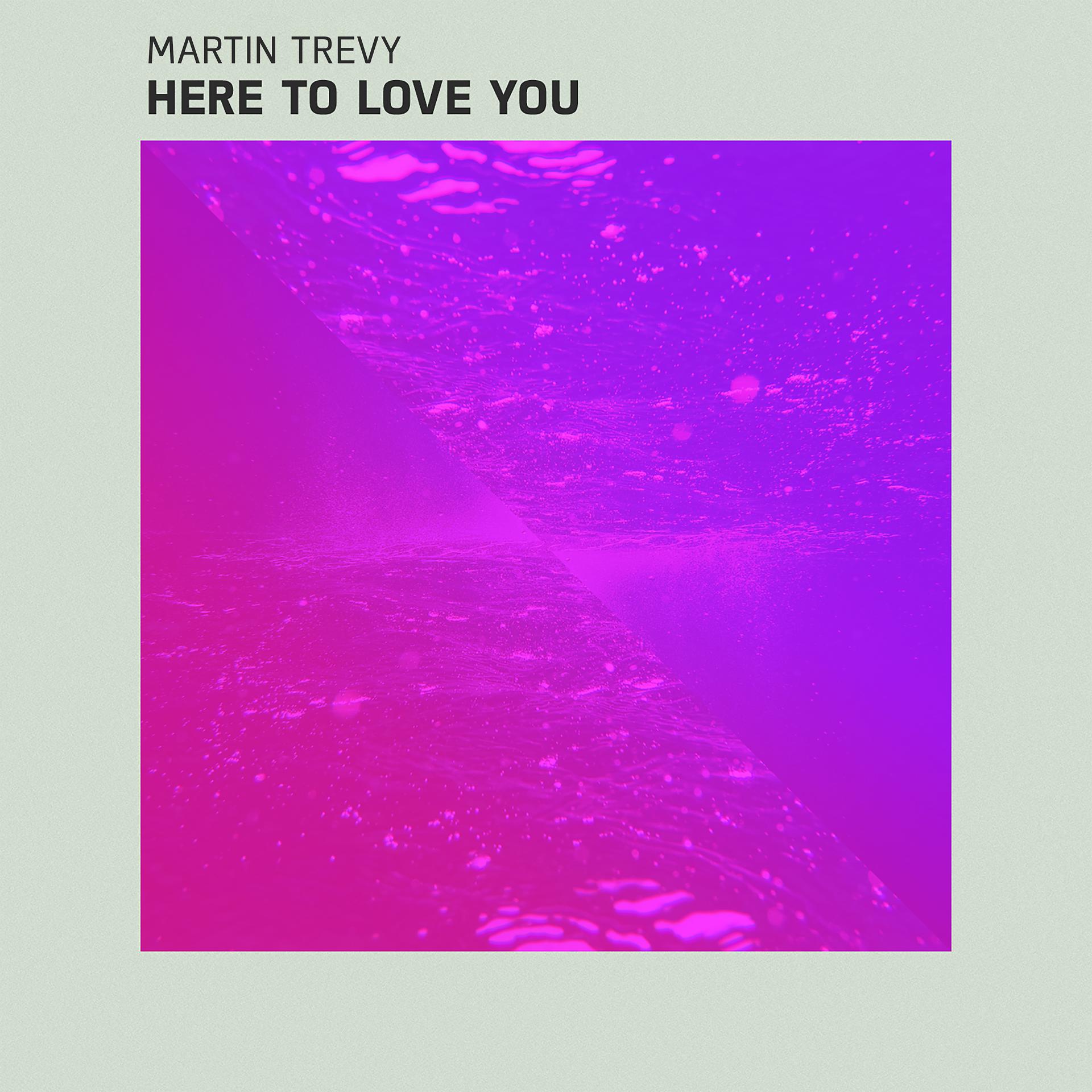 Постер альбома Here to Love You
