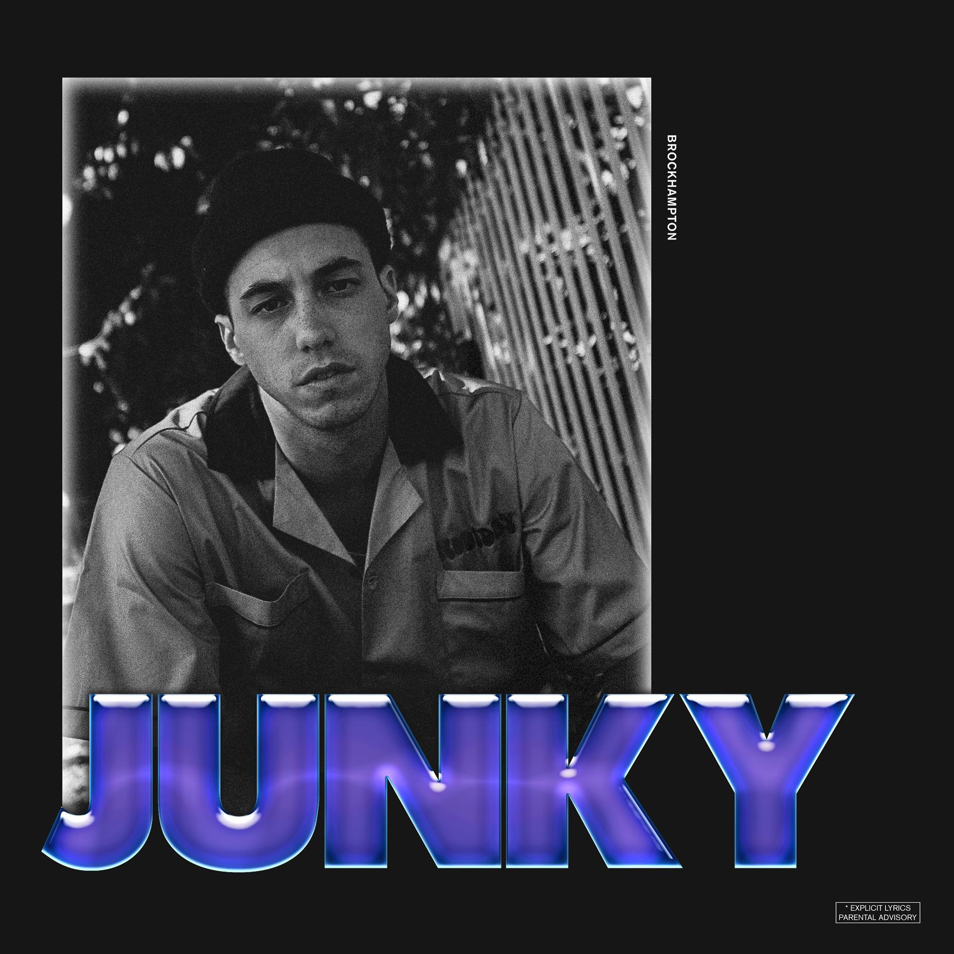 Постер альбома JUNKY