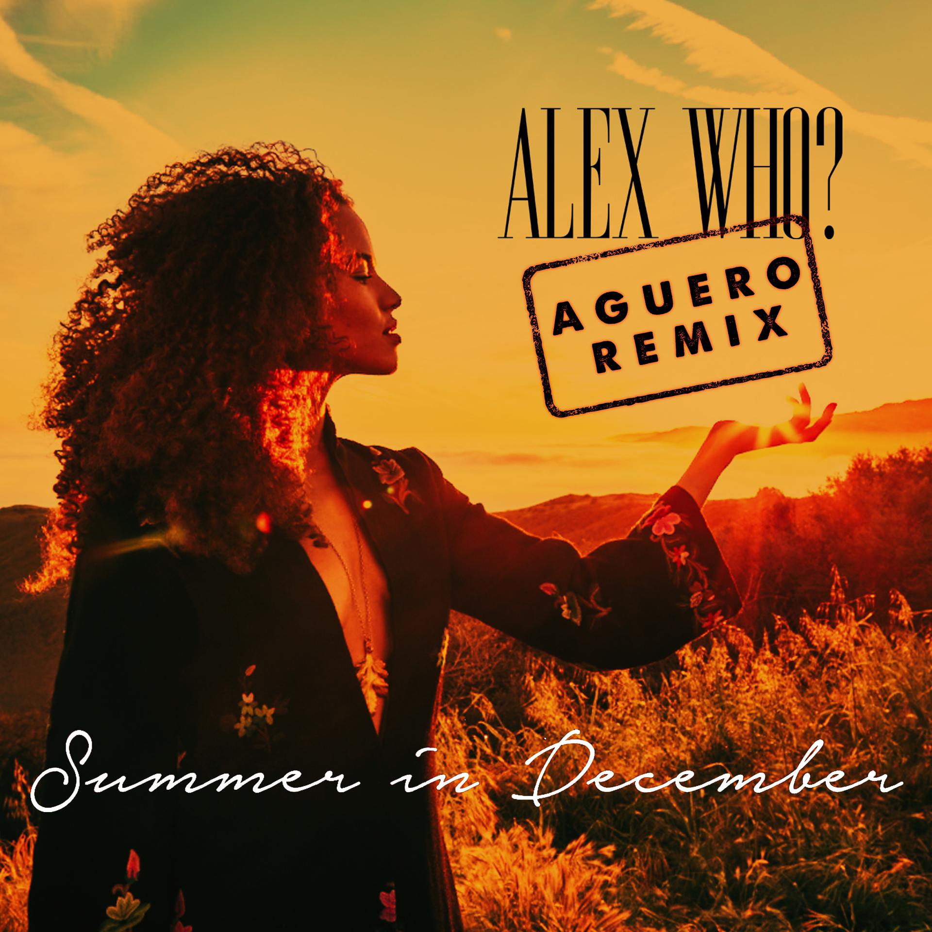 Постер альбома Summer In December (Aguero Remix)