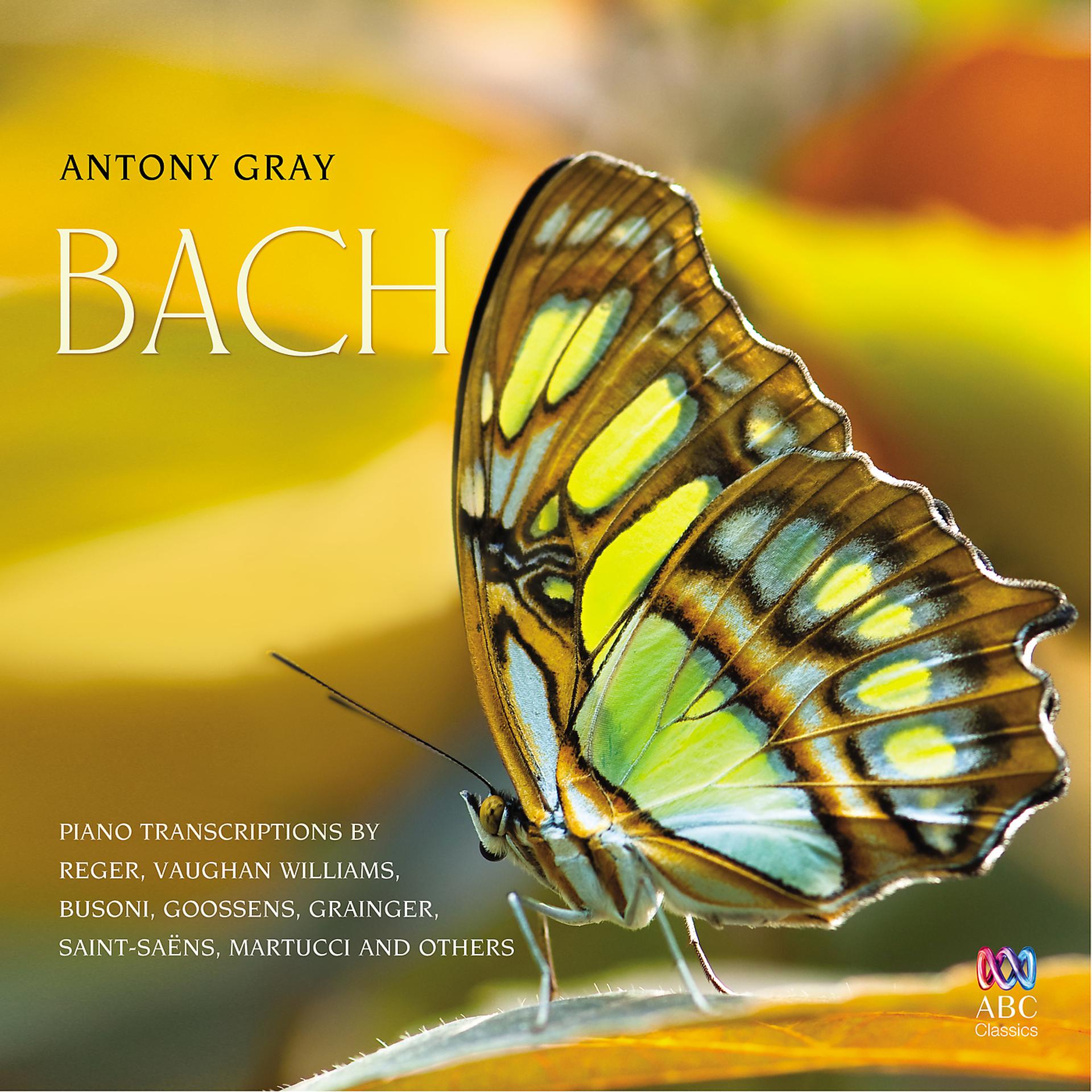 Постер альбома Bach Piano Transcriptions