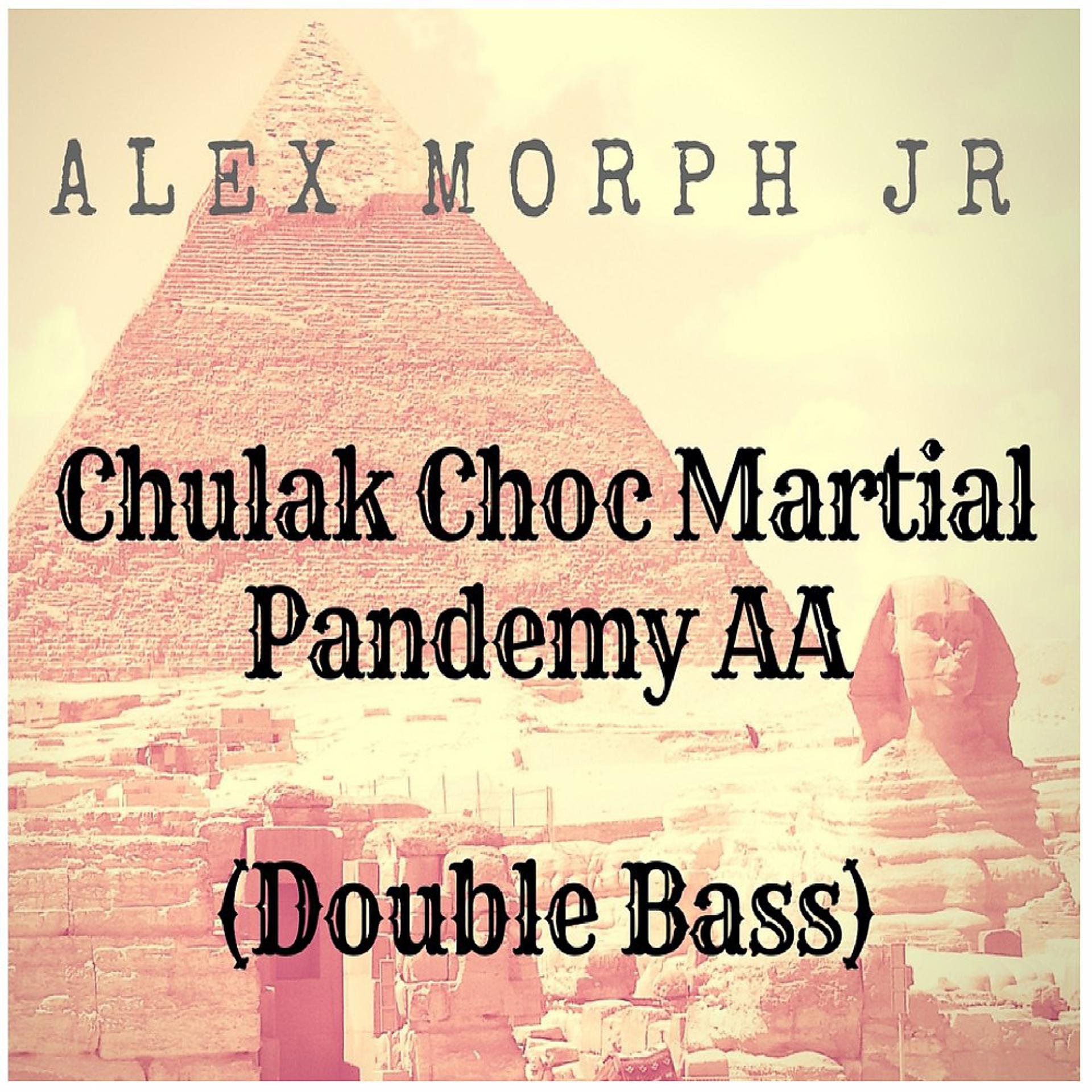 Постер альбома Chulak Choc Martial Pandemy Aa (Double Bass) [Original Mix]