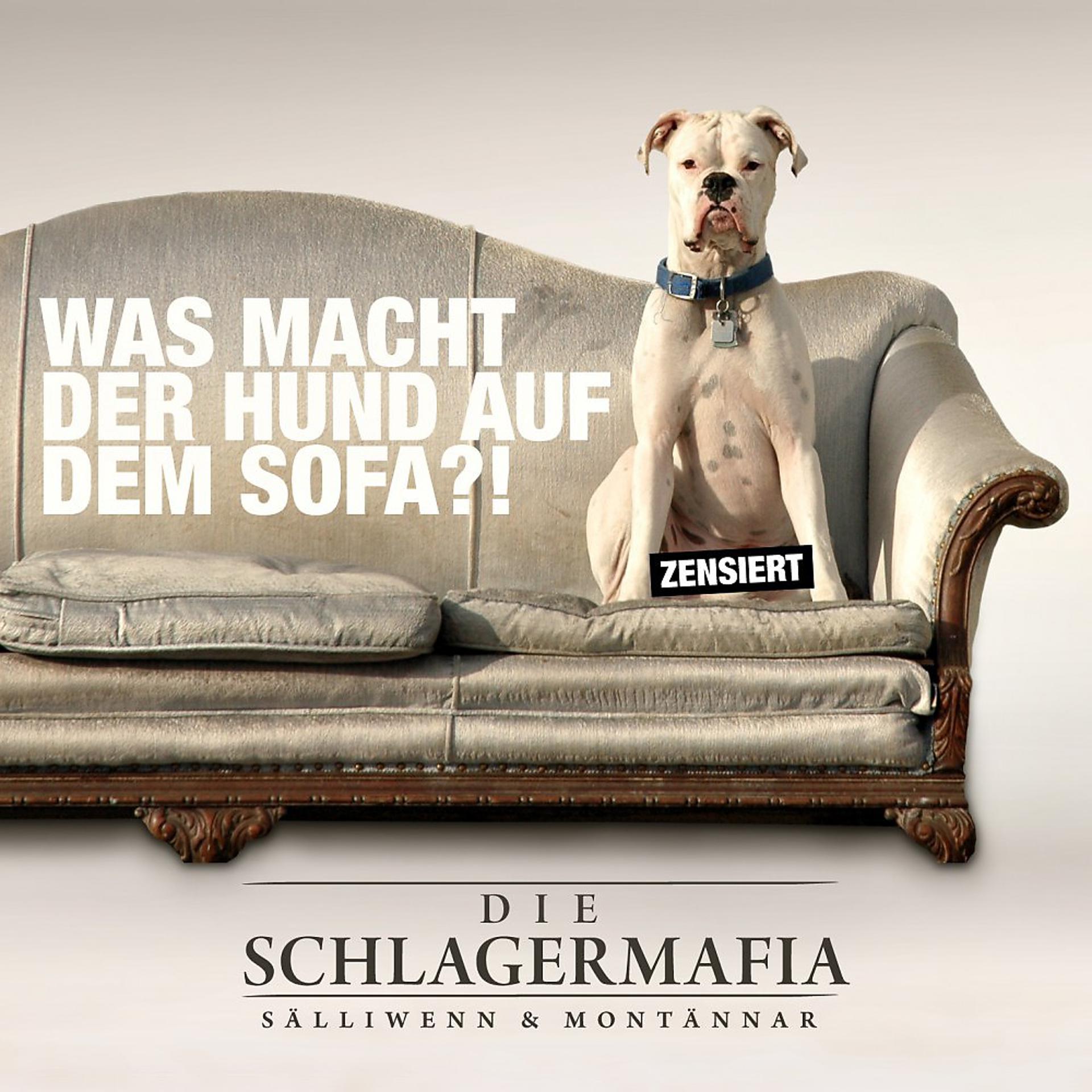 Постер альбома Was macht der Hund auf dem Sofa