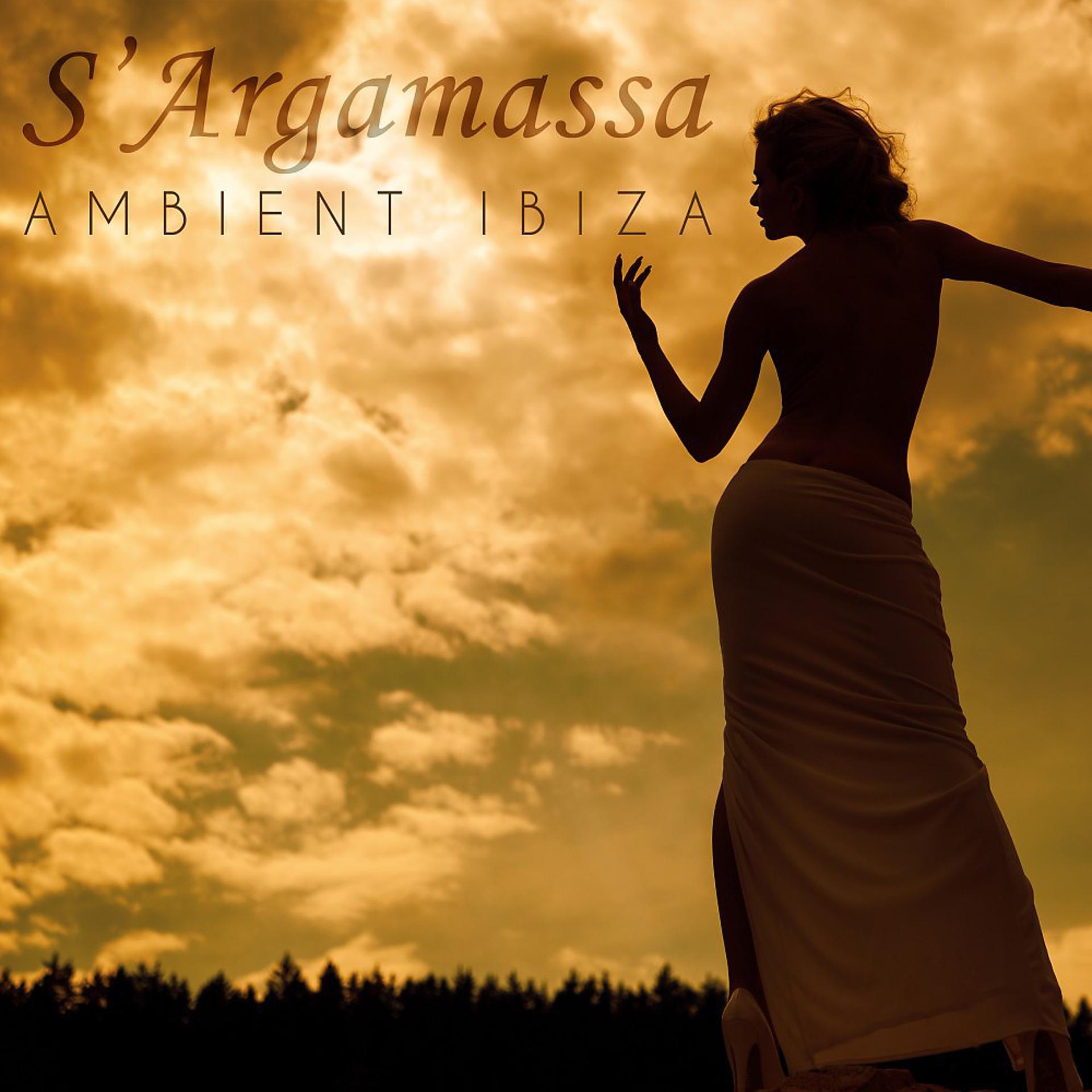Постер альбома S'argamassa Ambient Ibiza