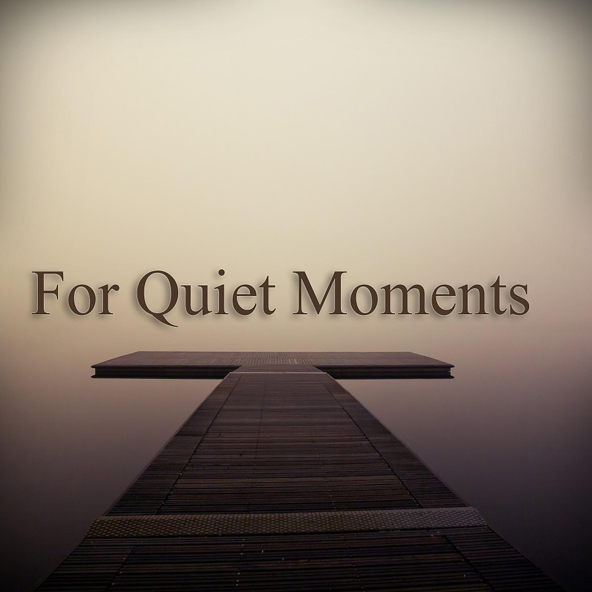 Постер альбома For Quiet Moments