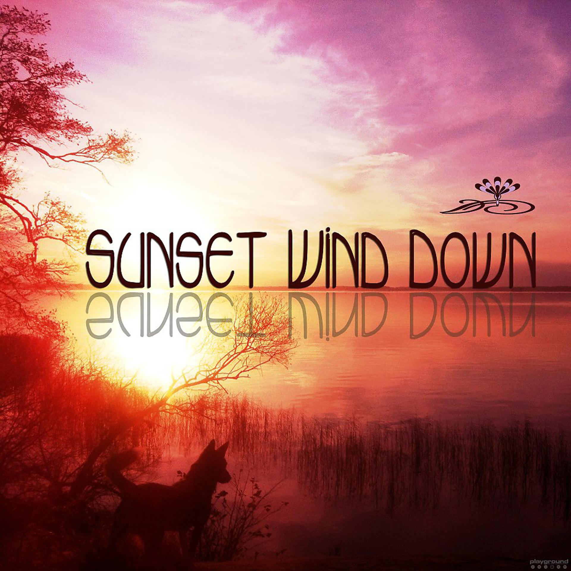 Постер альбома Sunset Wind Down