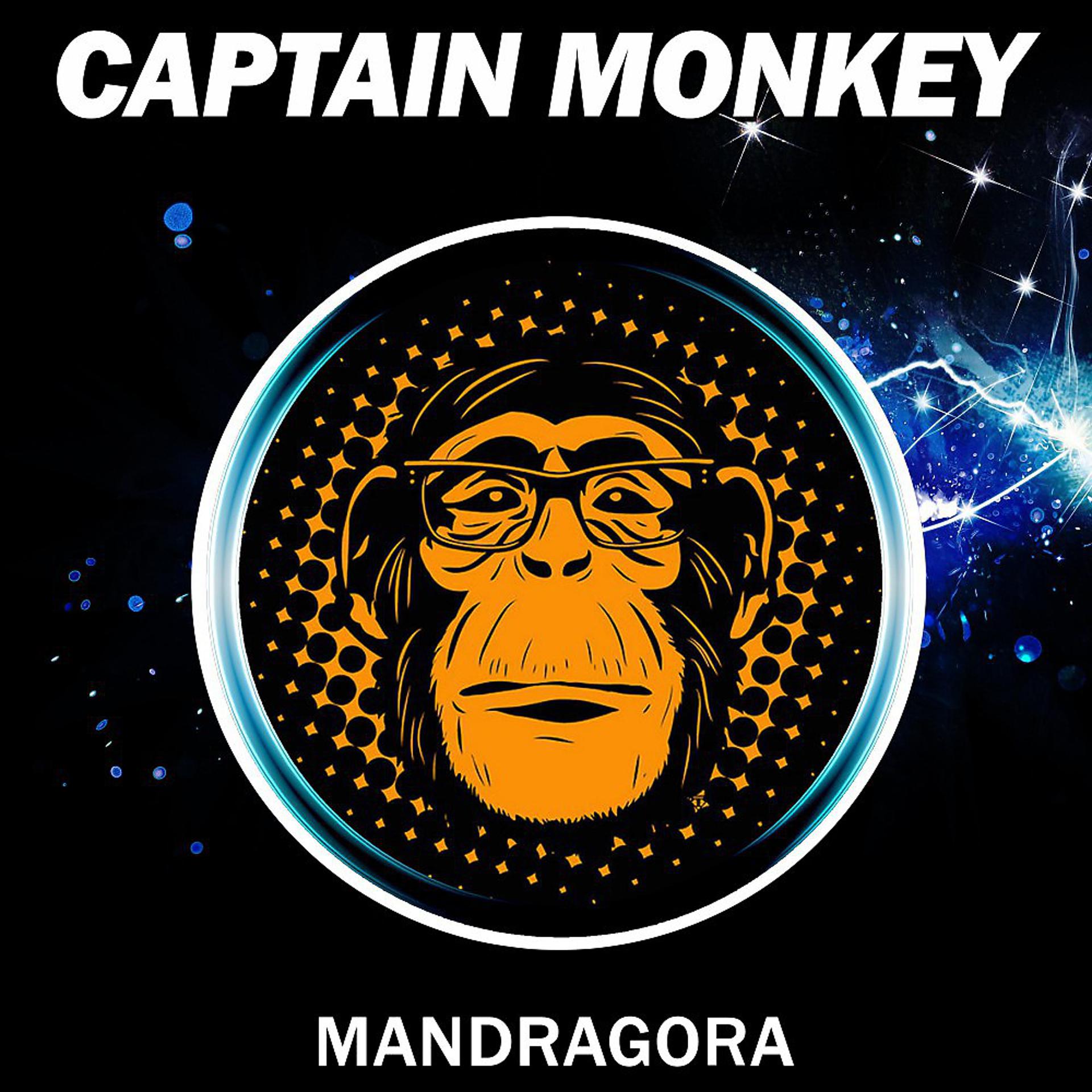 Постер альбома Mandragora
