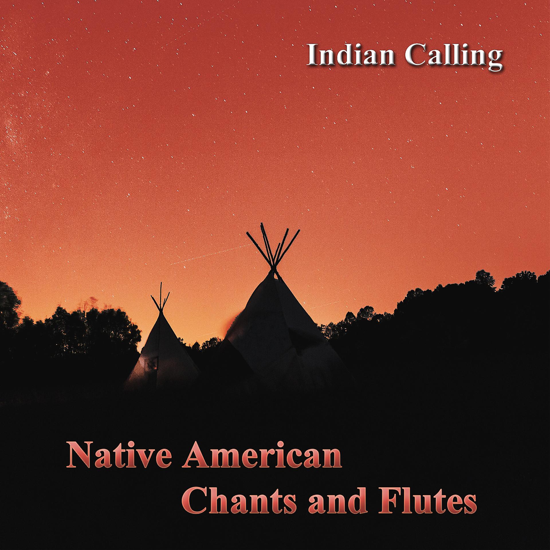Постер альбома Native American Chants and Flutes