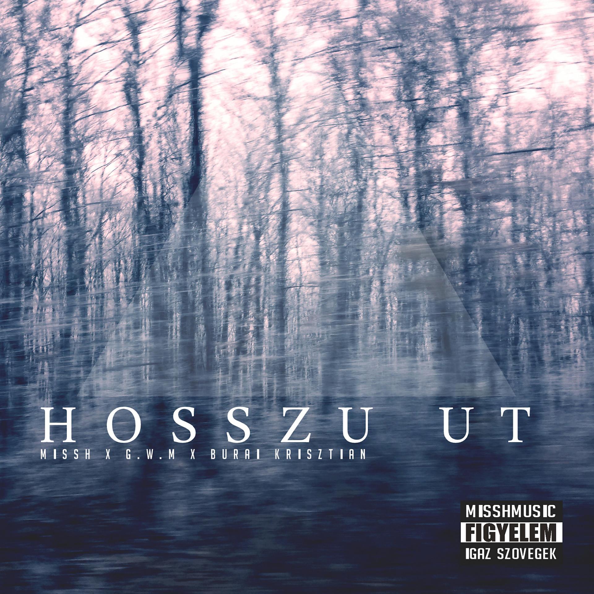 Постер альбома Hosszú Út