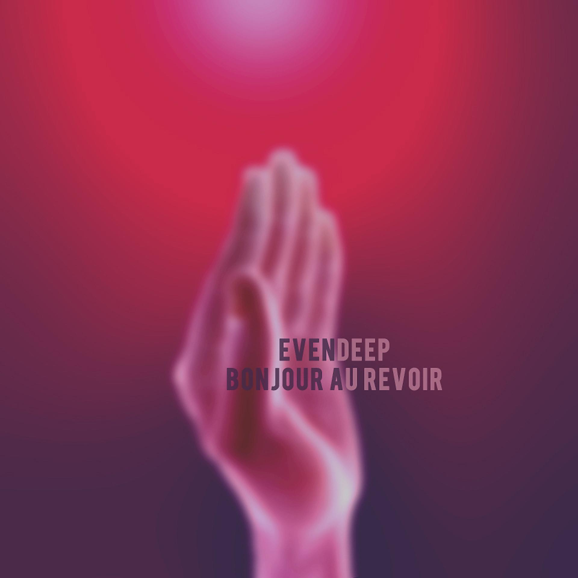 Постер альбома Bonjour au revoir
